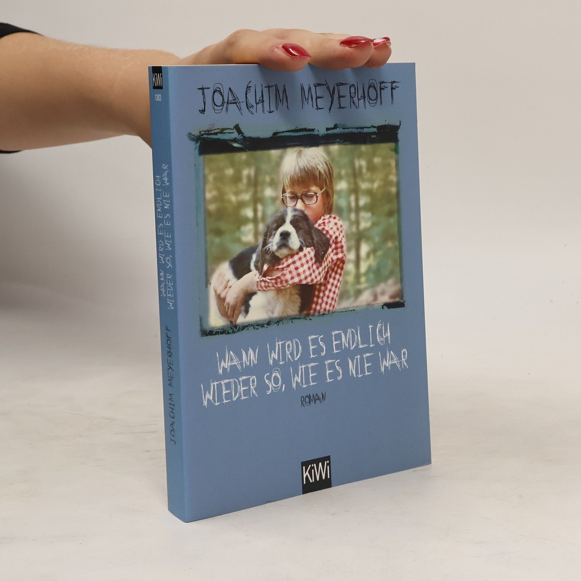 Joachim Meyerhoff Wann wird es endlich wieder so, wie es nie war