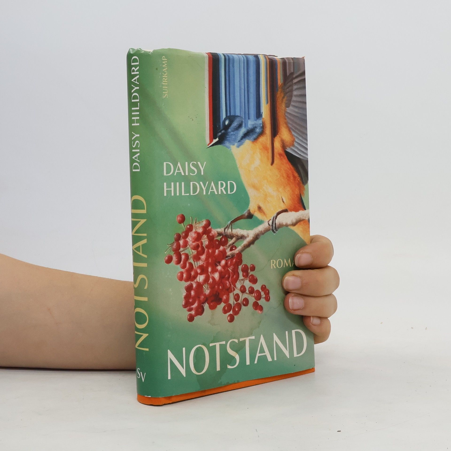 Daisy Hildyard Notstand