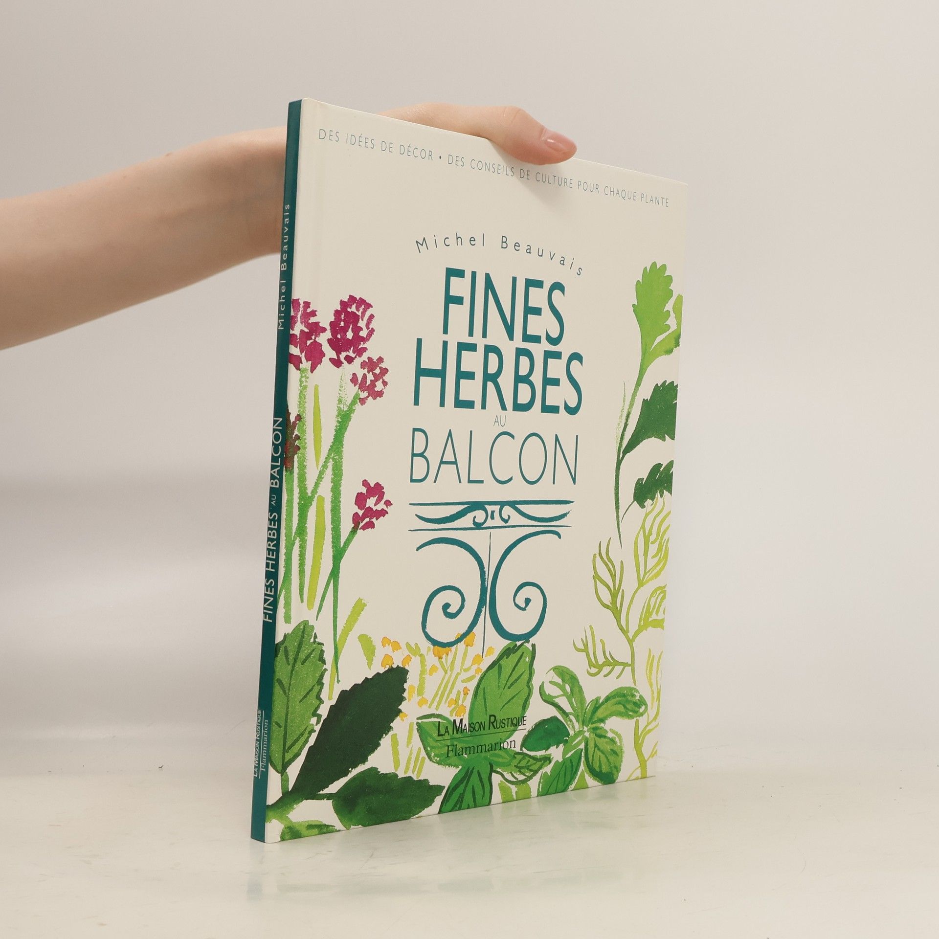 Michel Beauvais Fines herbes au balcon