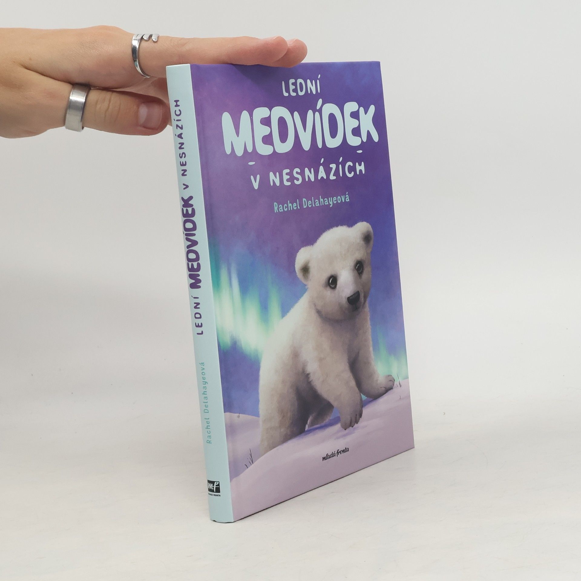 Rachel Delahaye Lední medvídek v nesnázích