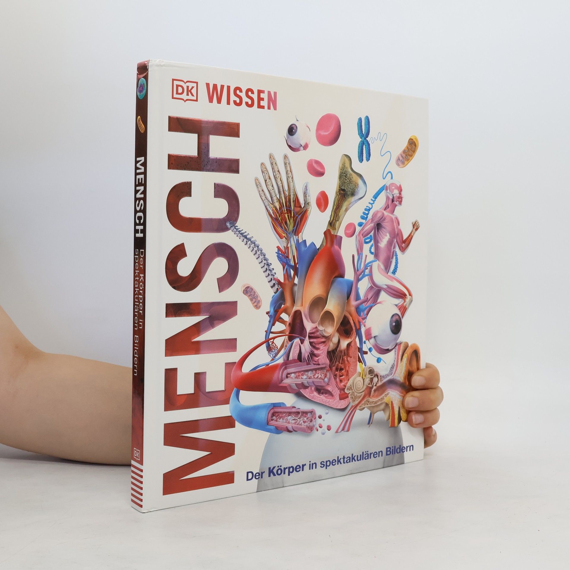 Autorenkollektiv Mensch - der Körper in spektakulären Bildern