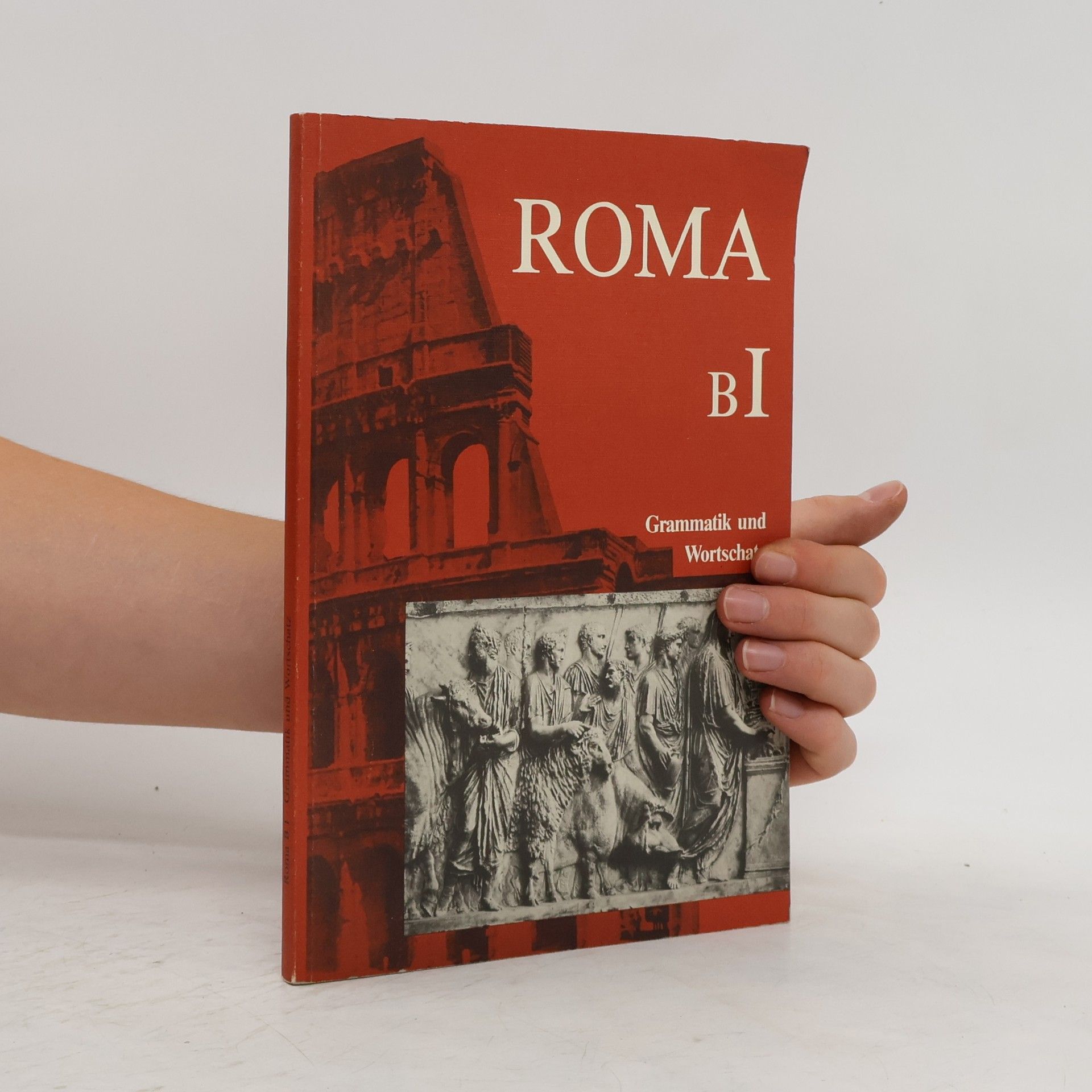 Kolektív autorov Roma