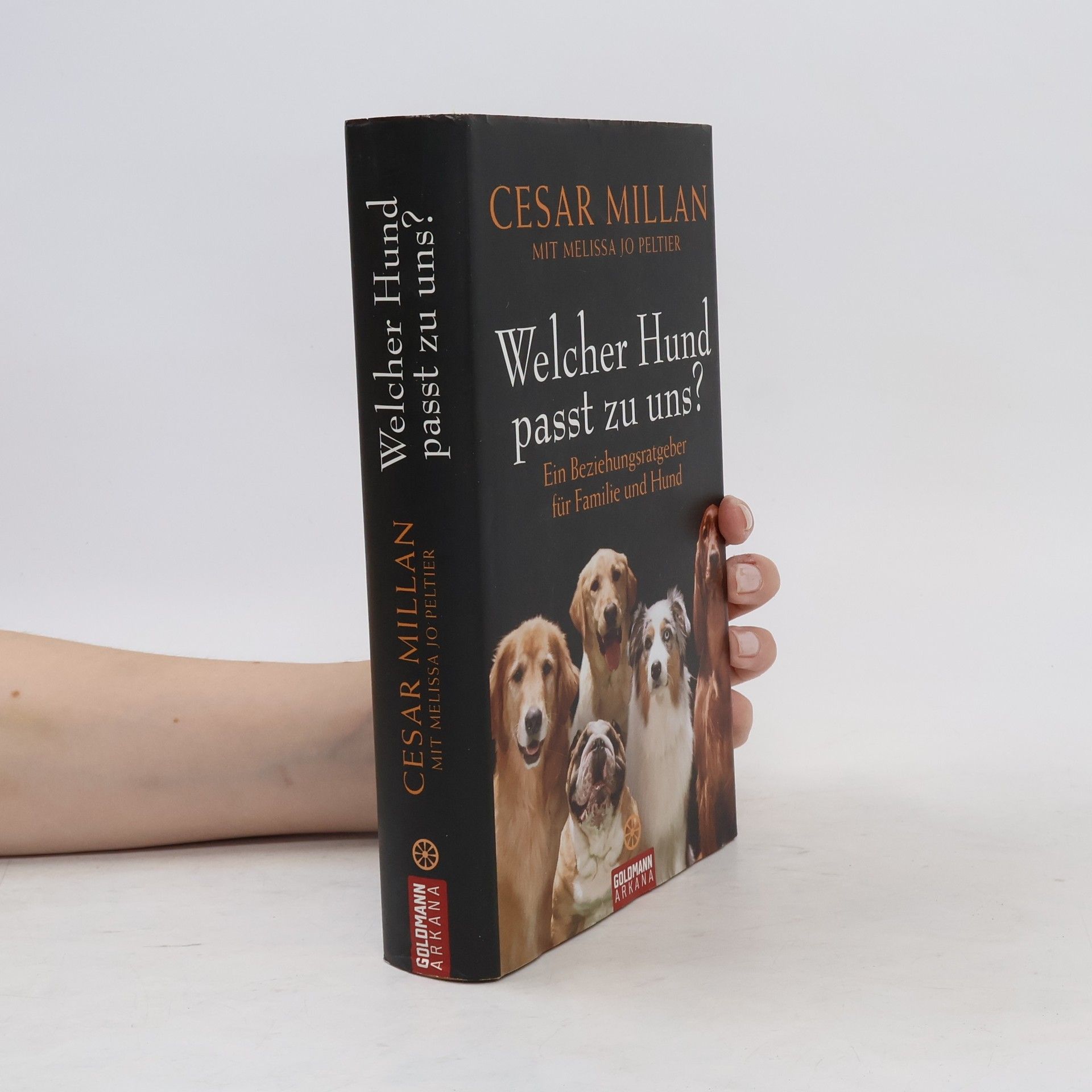 Cesar Millan Welcher Hund passt zu uns?