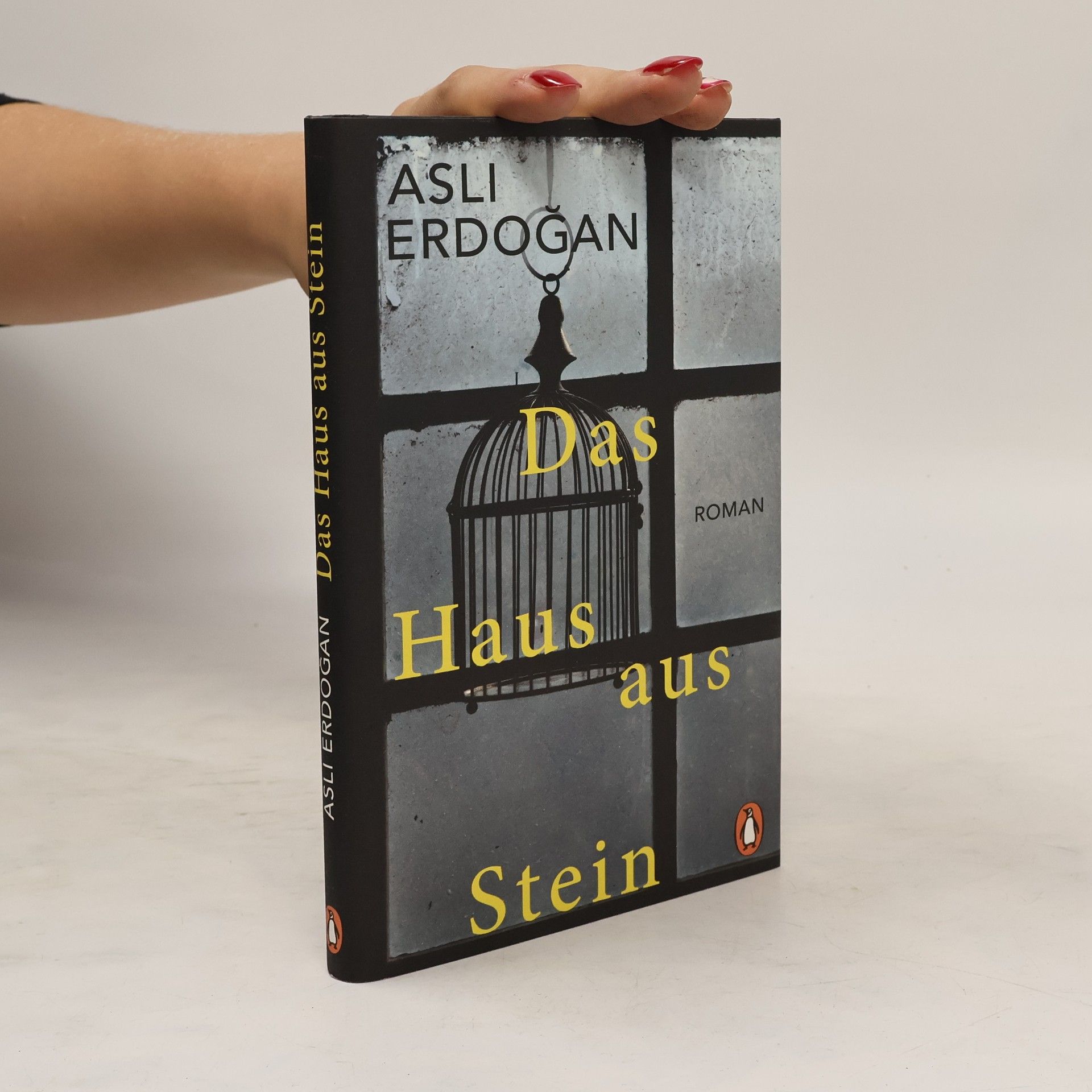 Asli Erdoǧan Das Haus aus Stein