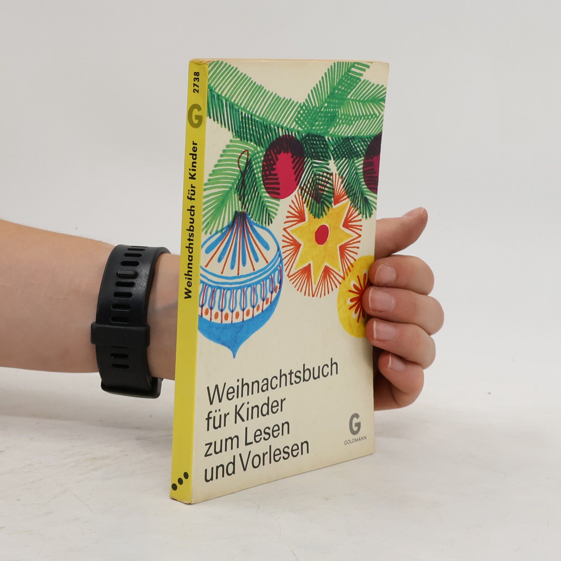 Ingrid Schoefinius-Pfeiffer Weihnachtsbuch für Kinder