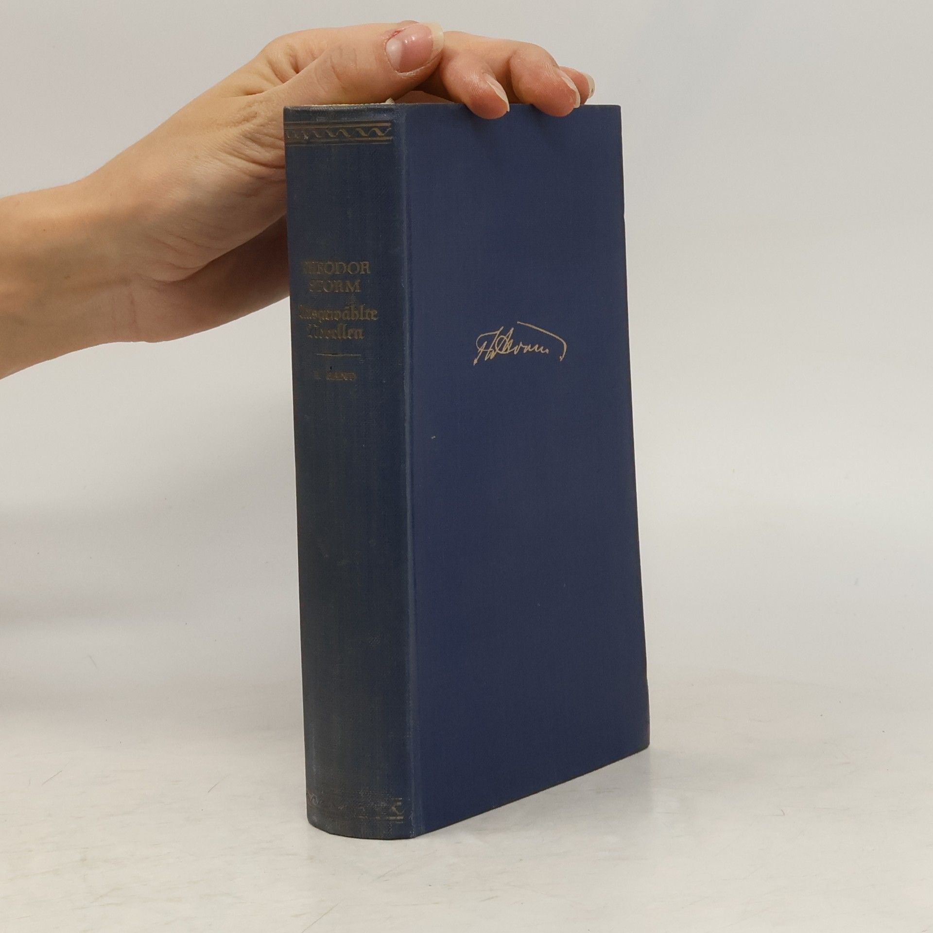 Theodor Storm Ausgewählte Novellen I