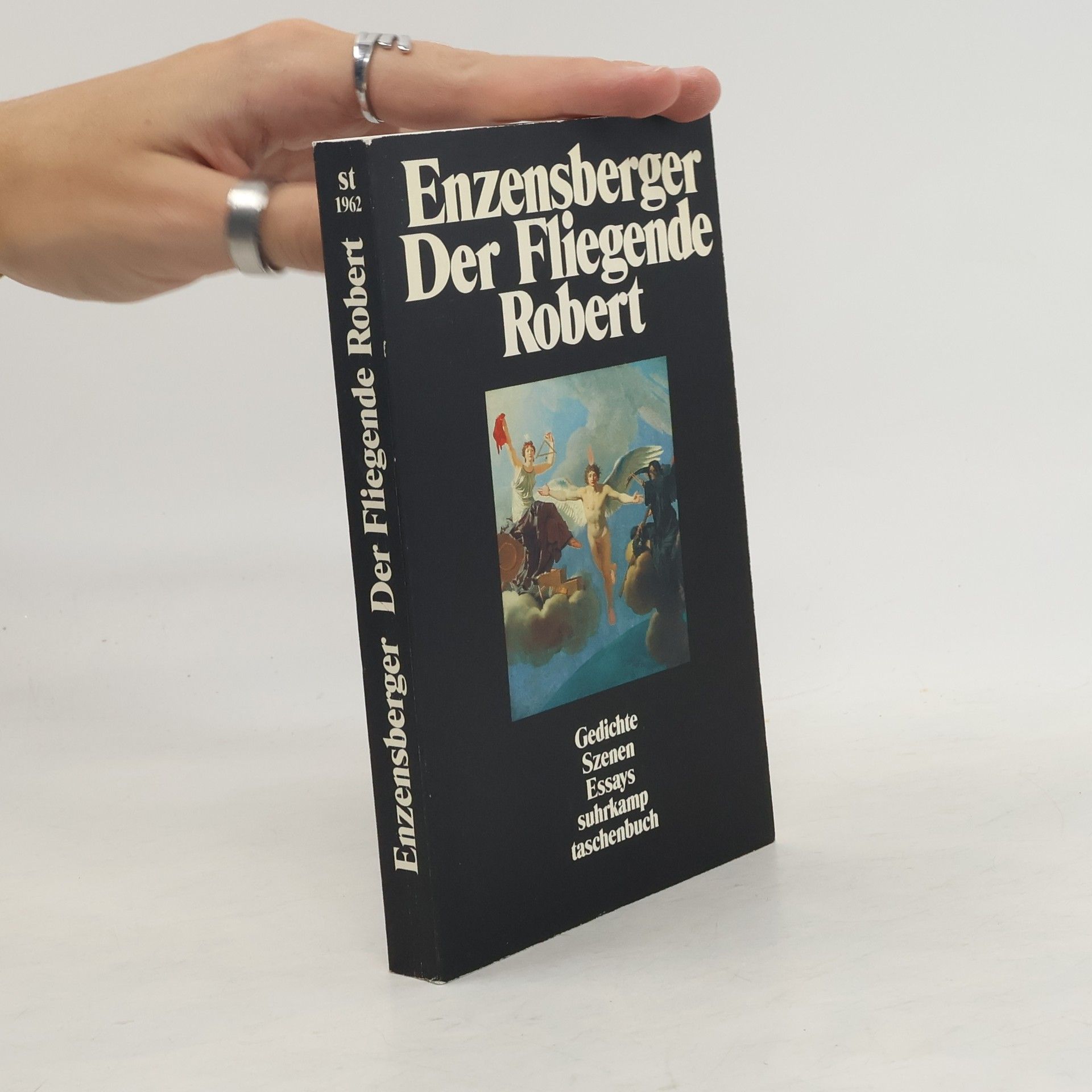 Hans Magnus Enzensberger Der Fliegende Robert