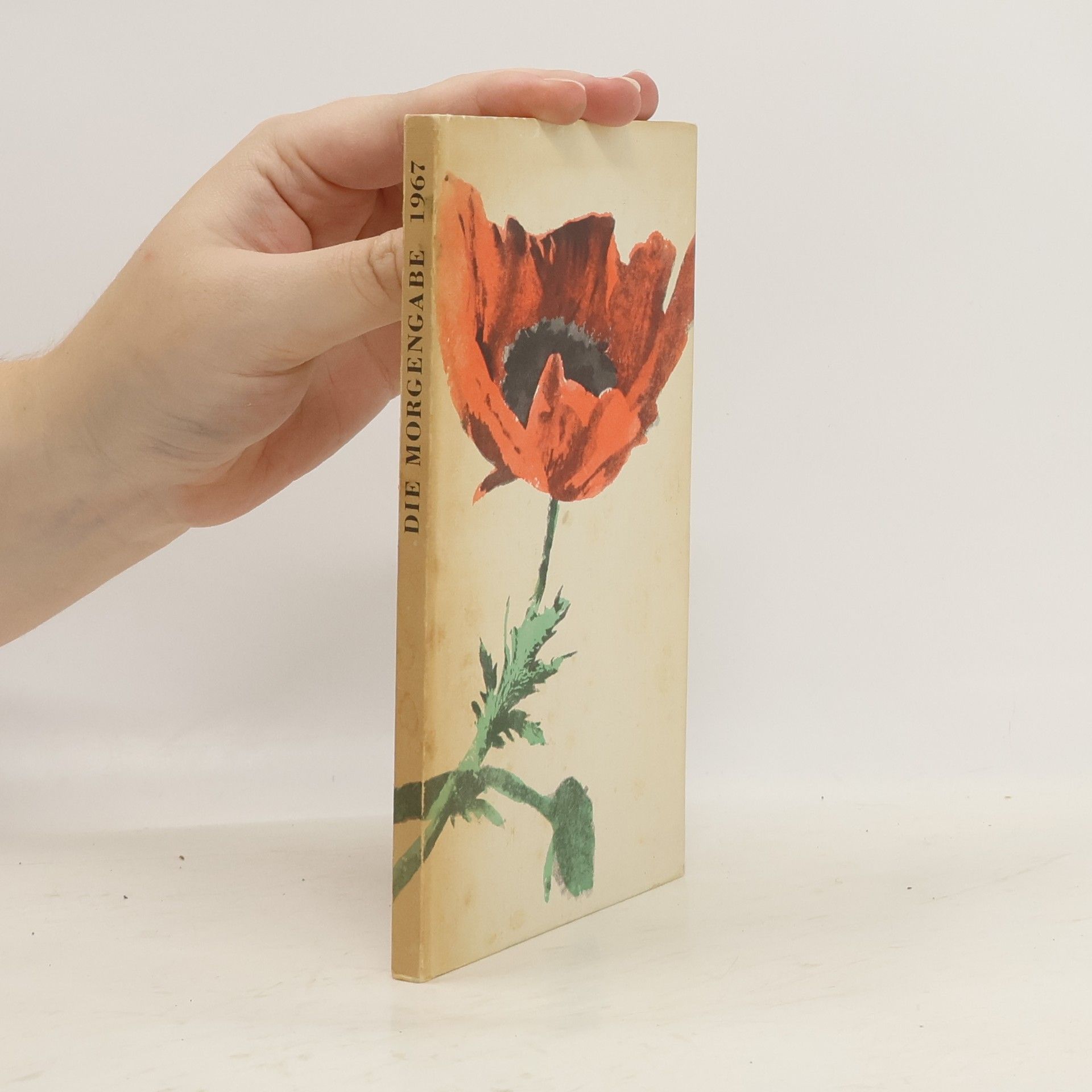 Autorenkollektiv Die Morgengabe