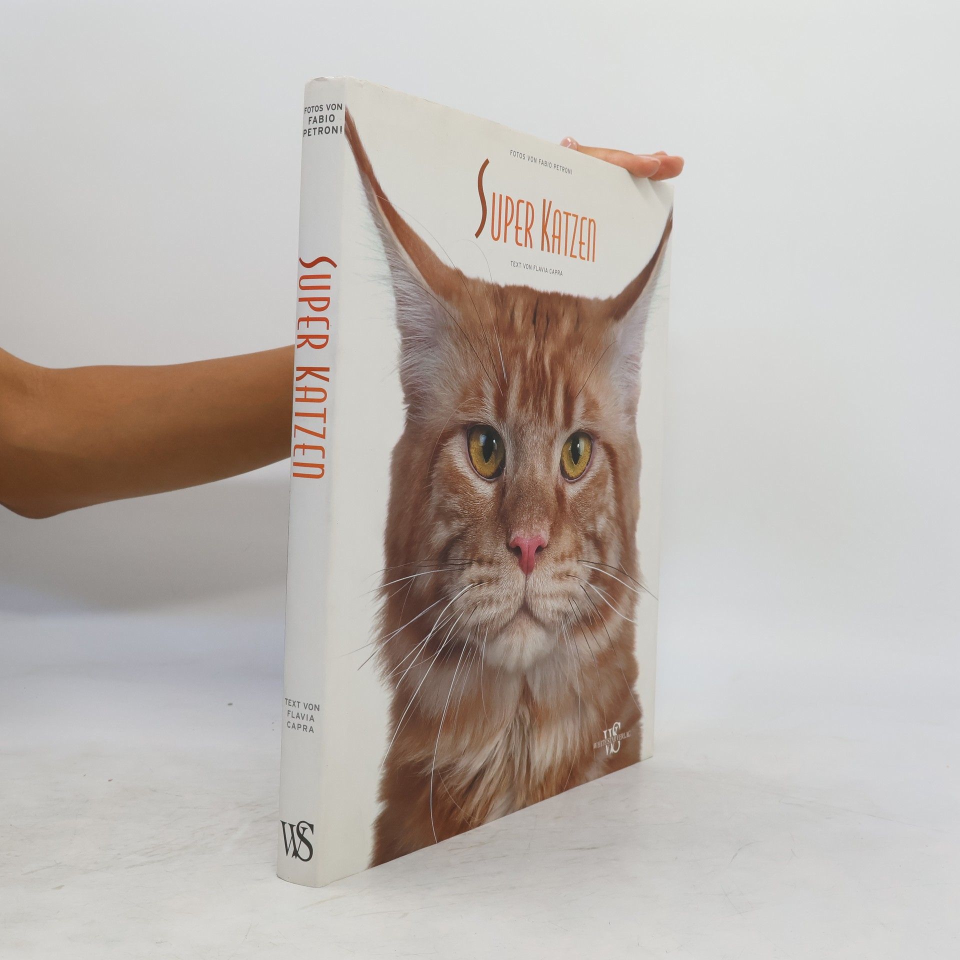 Fabio Petroni Super-Katzen