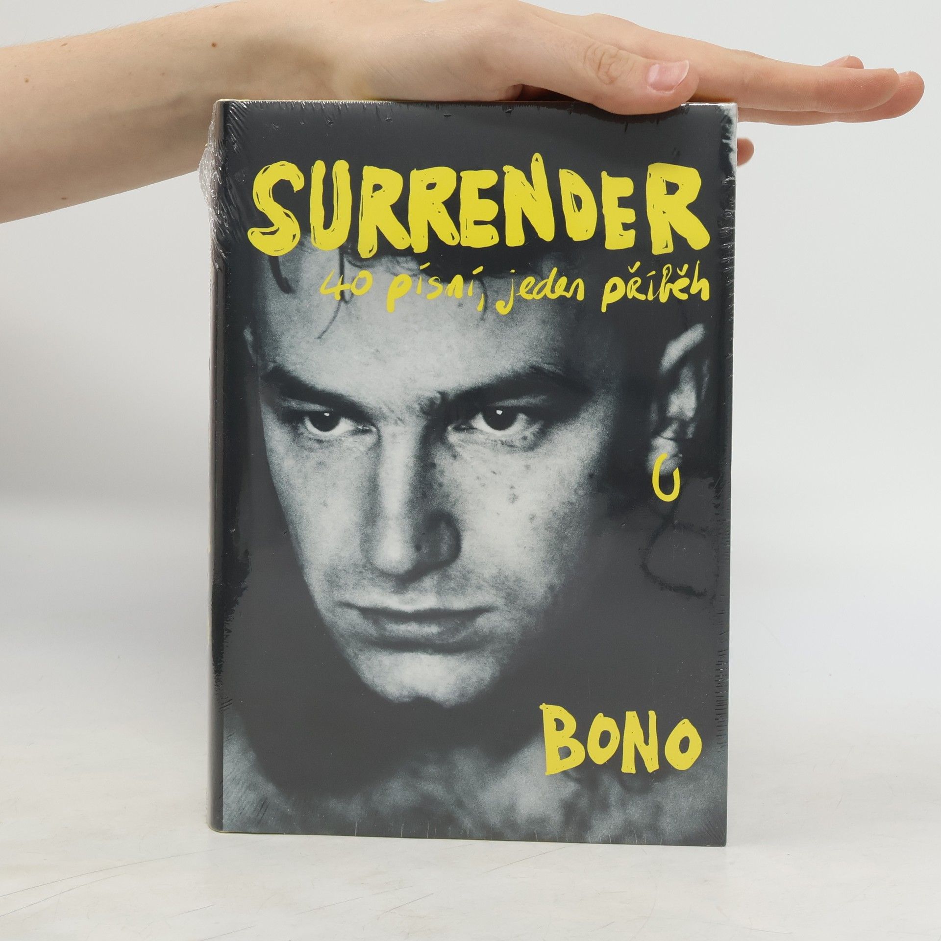 Bono Surrender : 40 písní, jeden příběh
