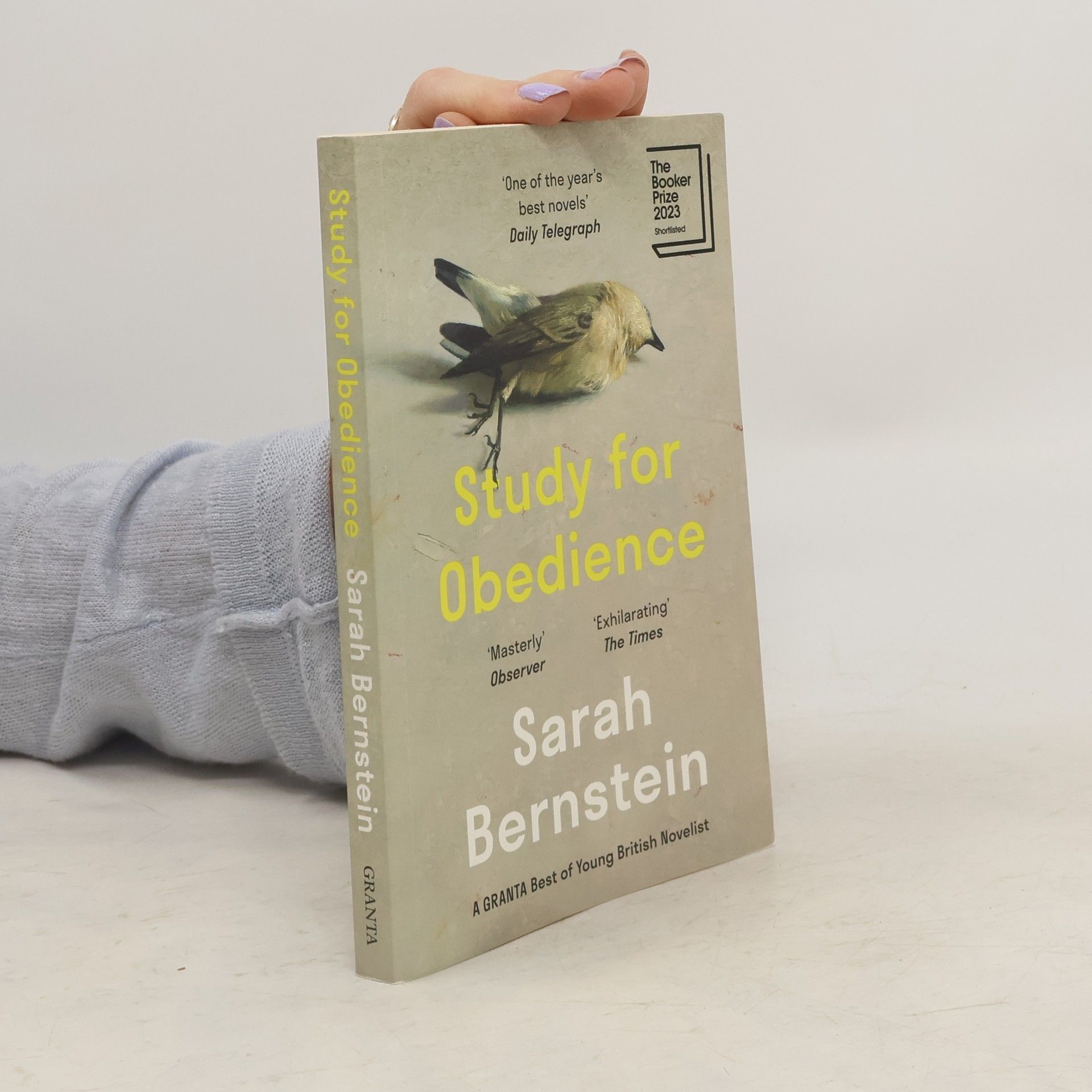 Sarah Bernstein Study for Obedience