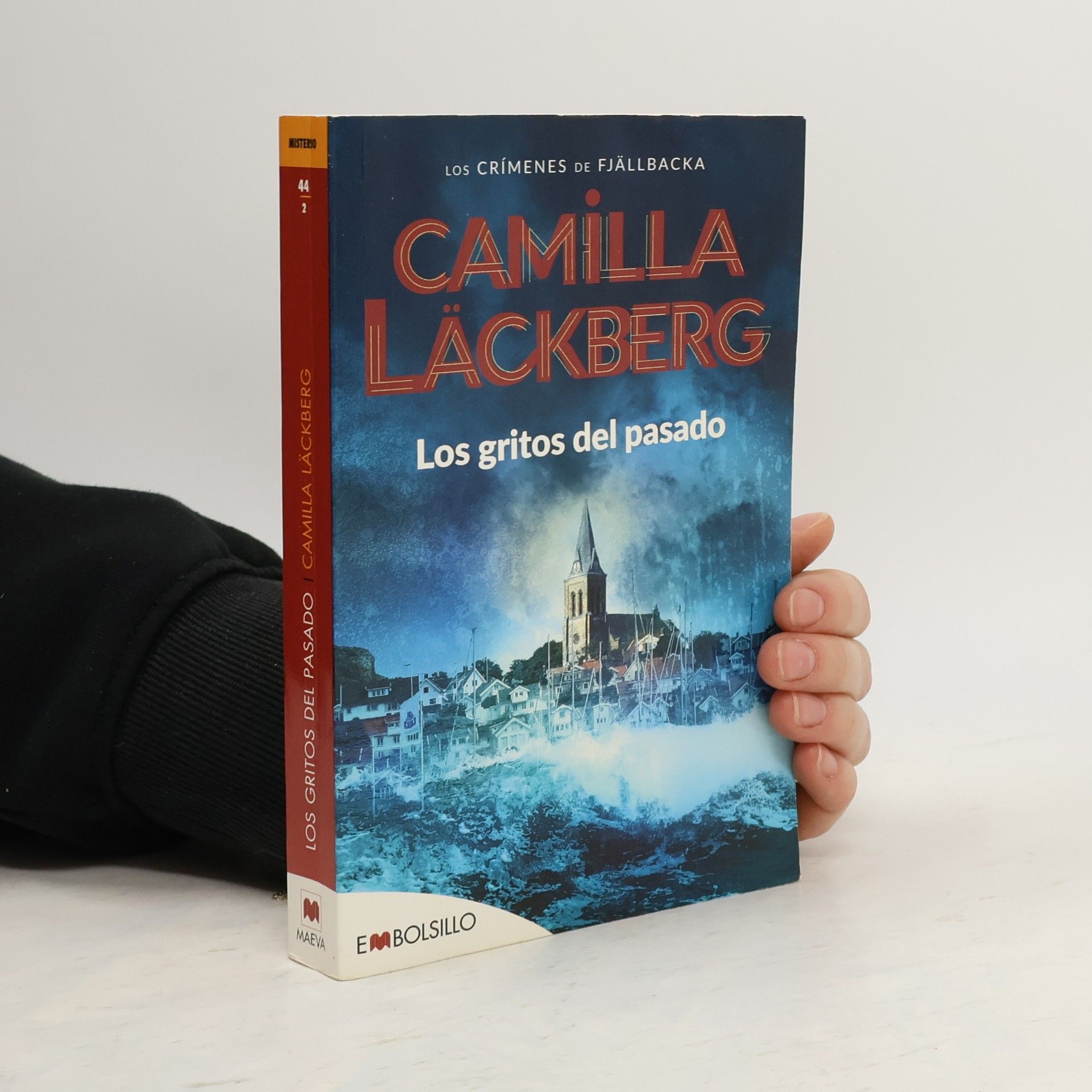 Camilla Läckberg Los gritos del pasado