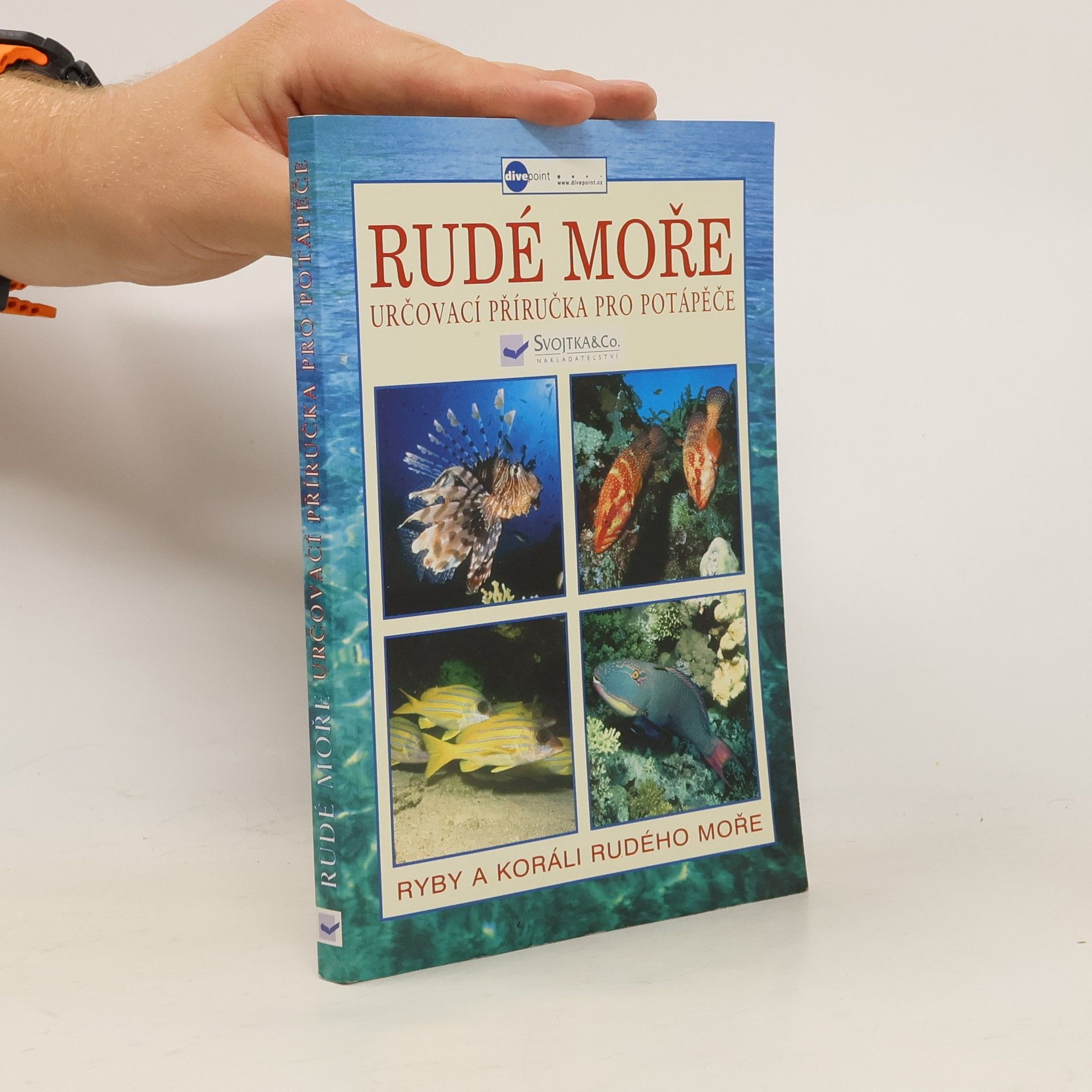 Peter Harrison Rudé moře : určovací příručka pro potápěče