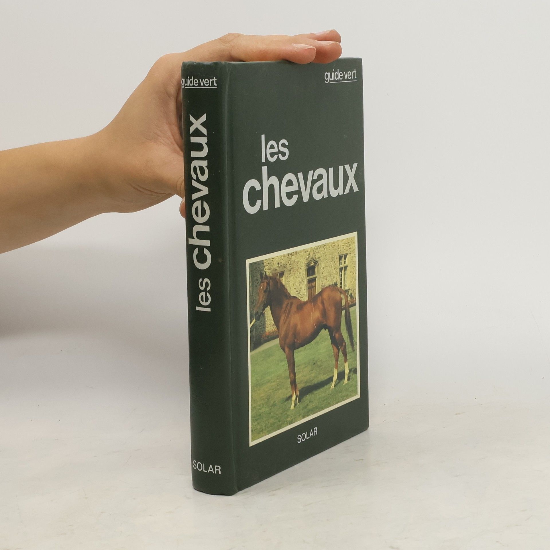 Maurizio Bongianni Les Chevaux