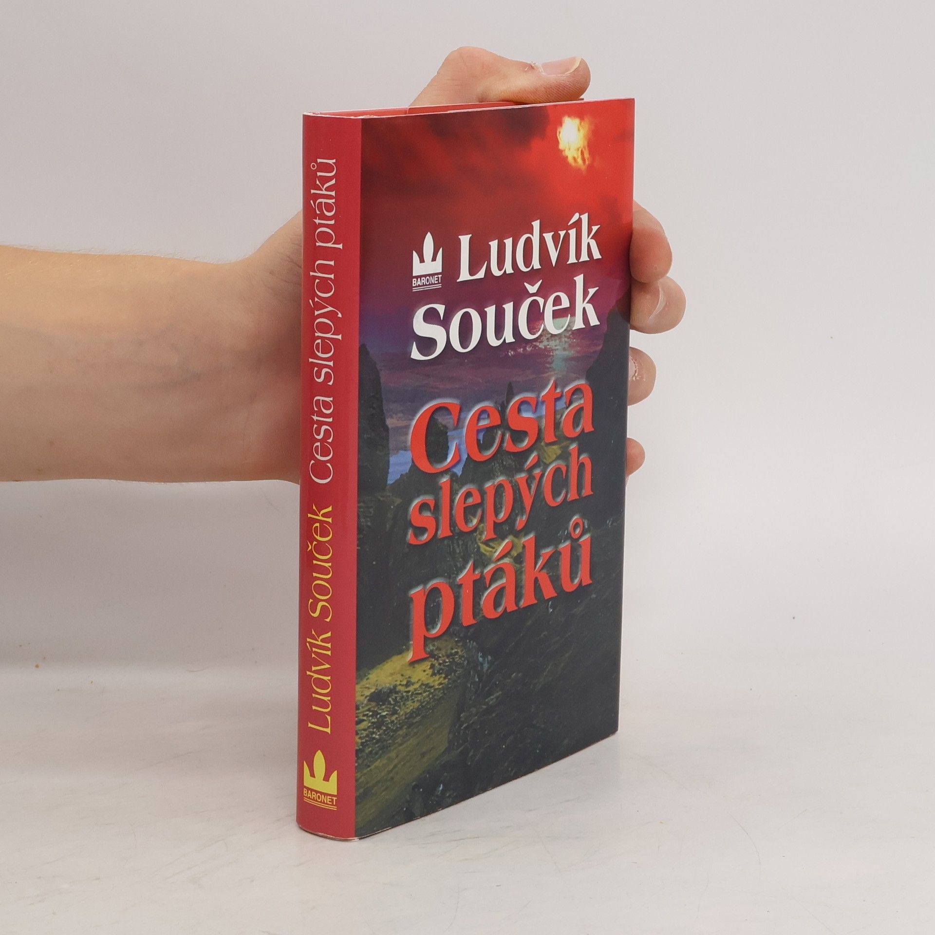 Ludvík Souček Cesta slepých ptáků