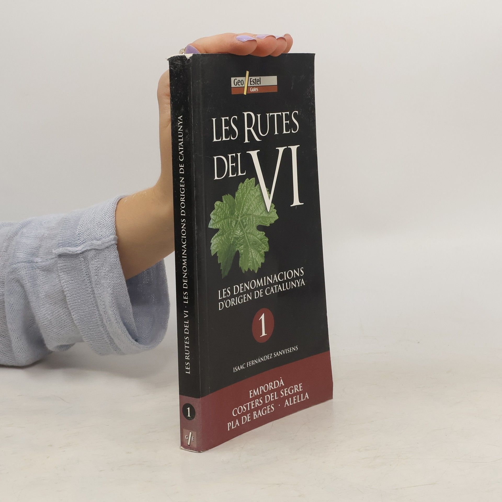 Various authors Les Rutes del VI