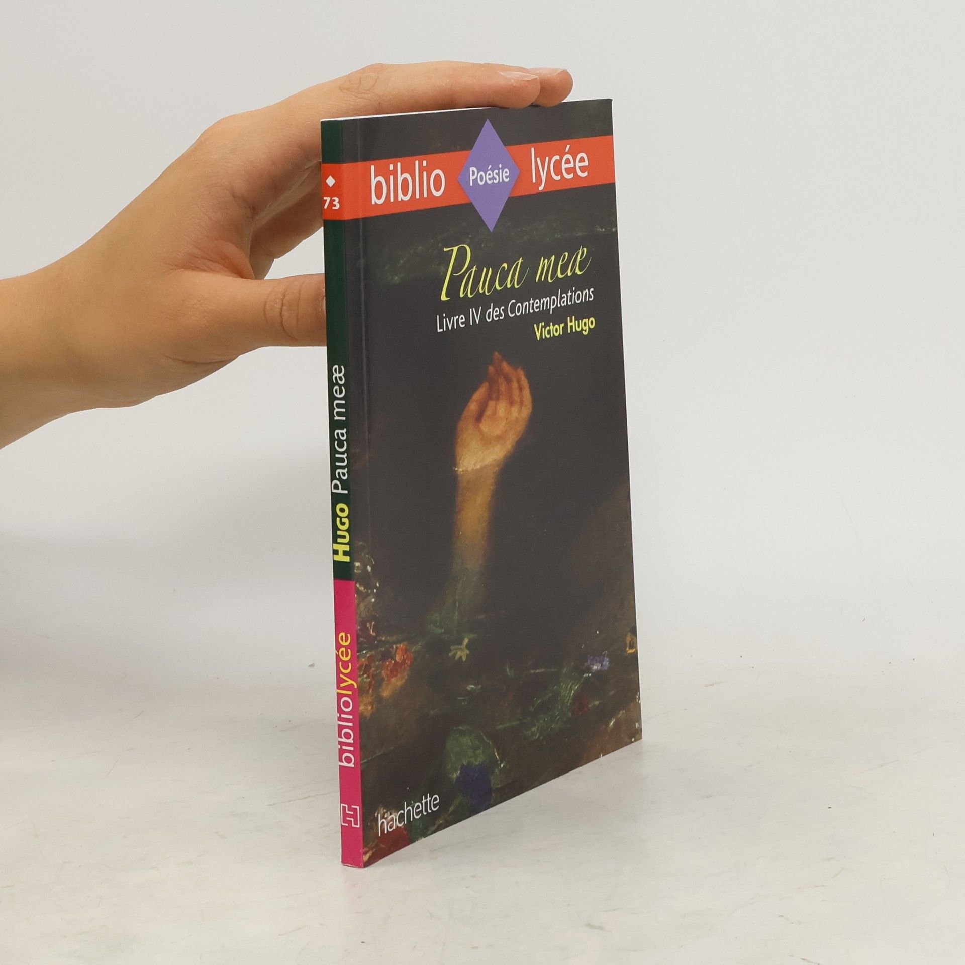 Victor Hugo Bibliolycée - 4: Pauca meae