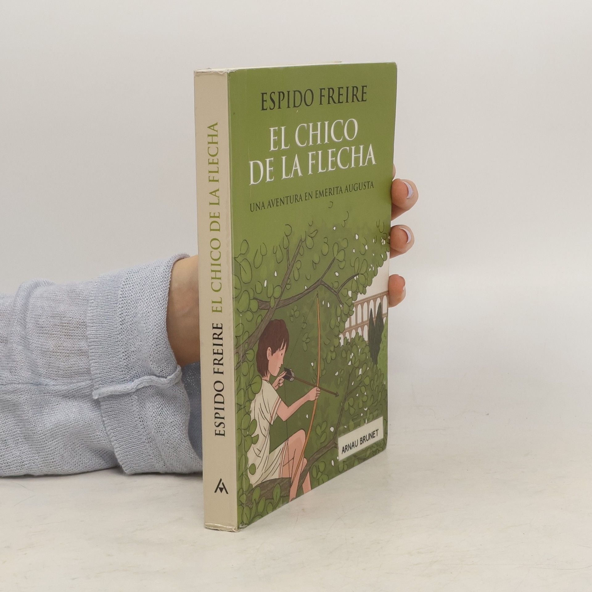 Espido Freire El chico de la flecha