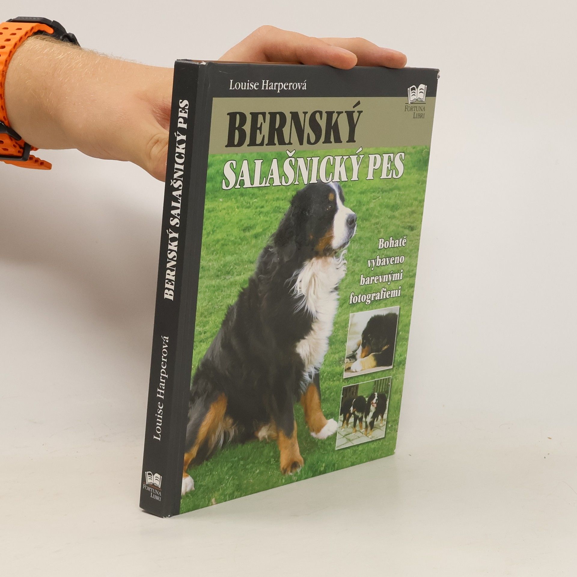 Louise Harper Bernský salašnický pes