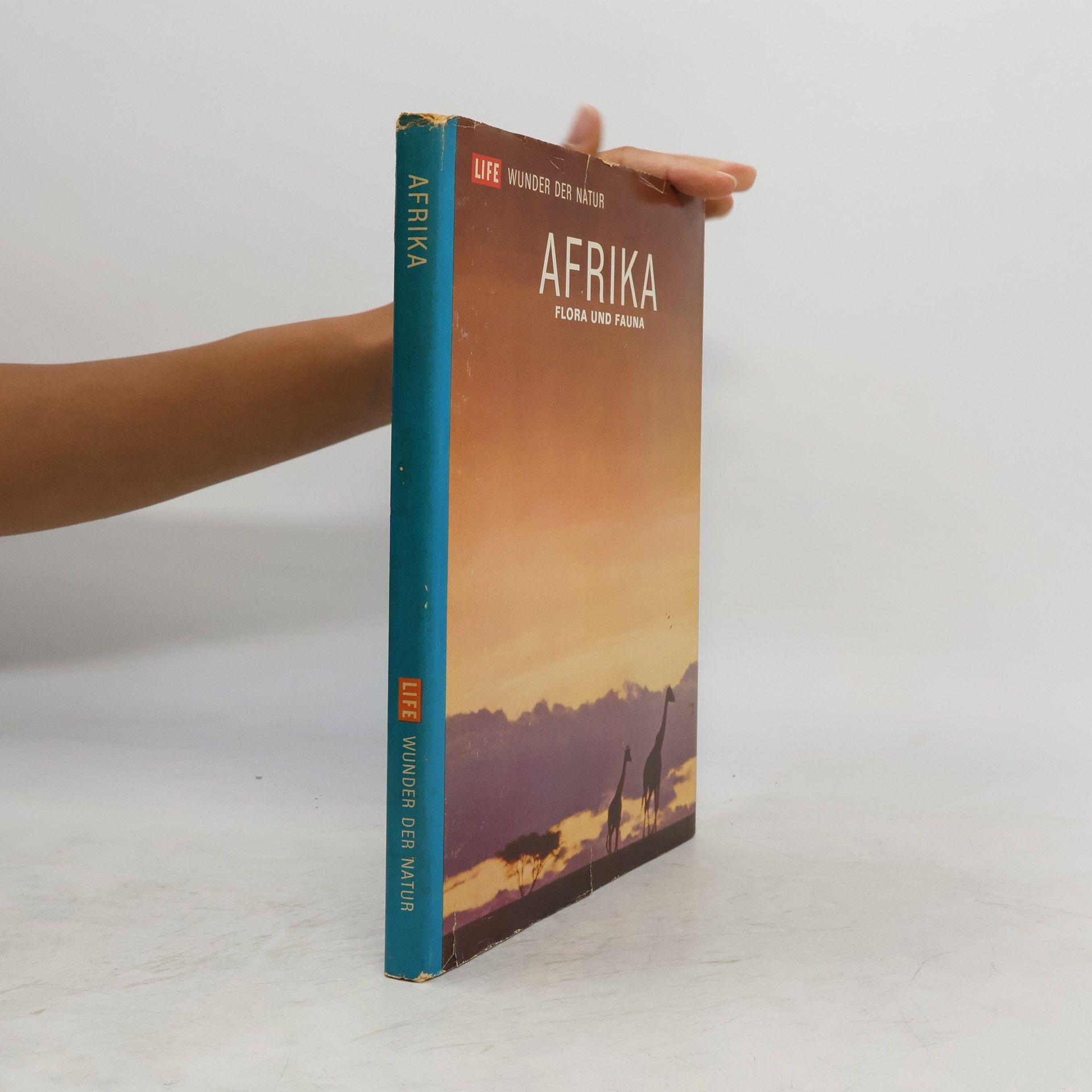 Archie Carr Afrika, Flora und Fauna