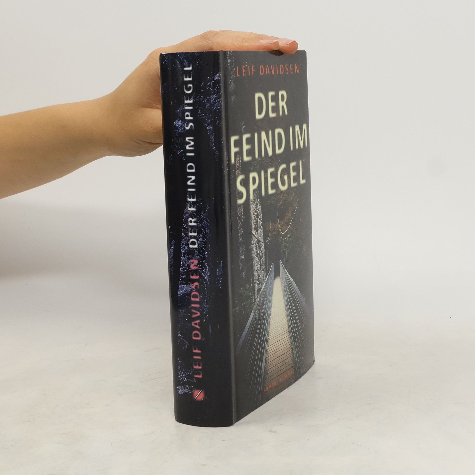 Leif Davidsen Der Feind im Spiegel