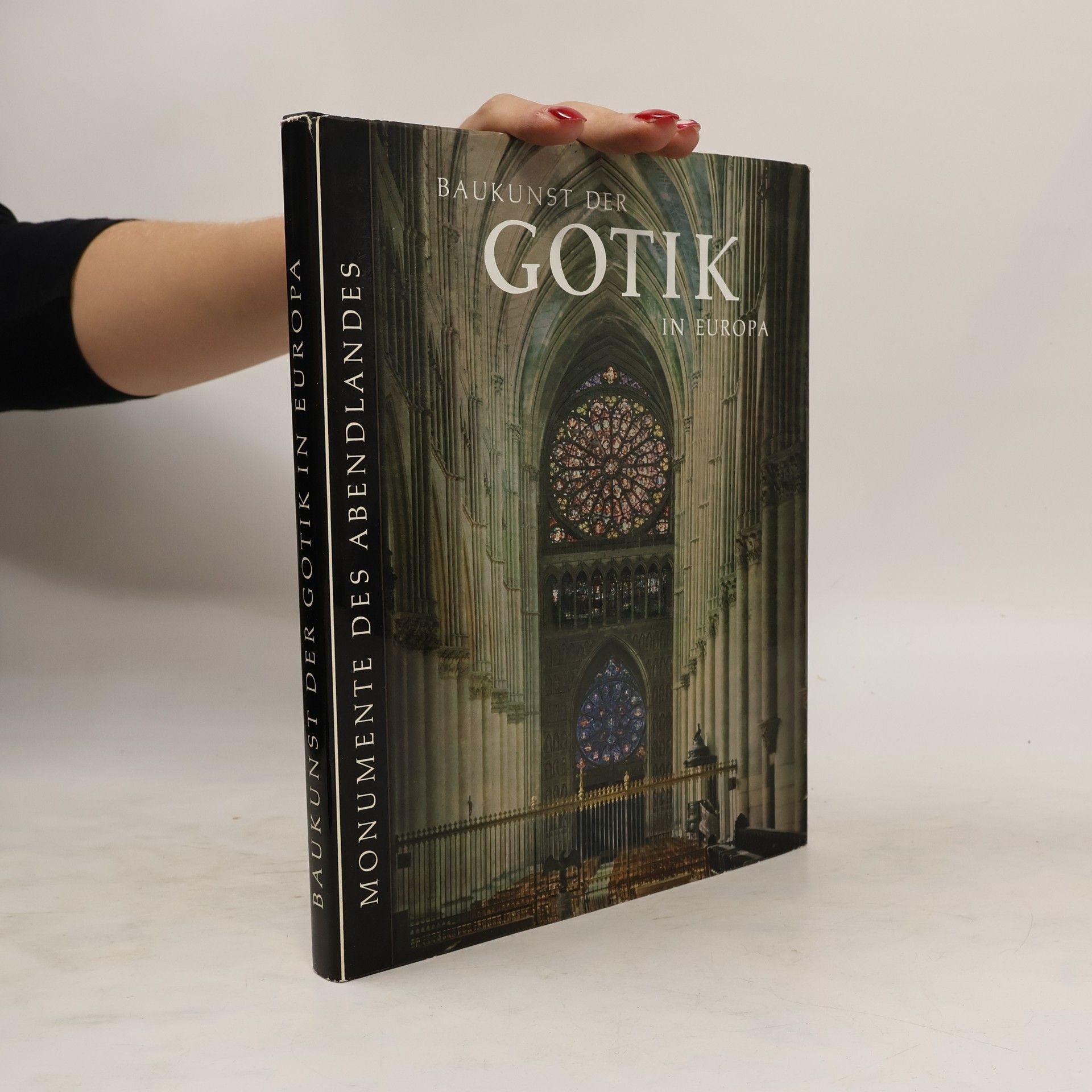 Kolektív autorov Baukunst der Gotik in Europa