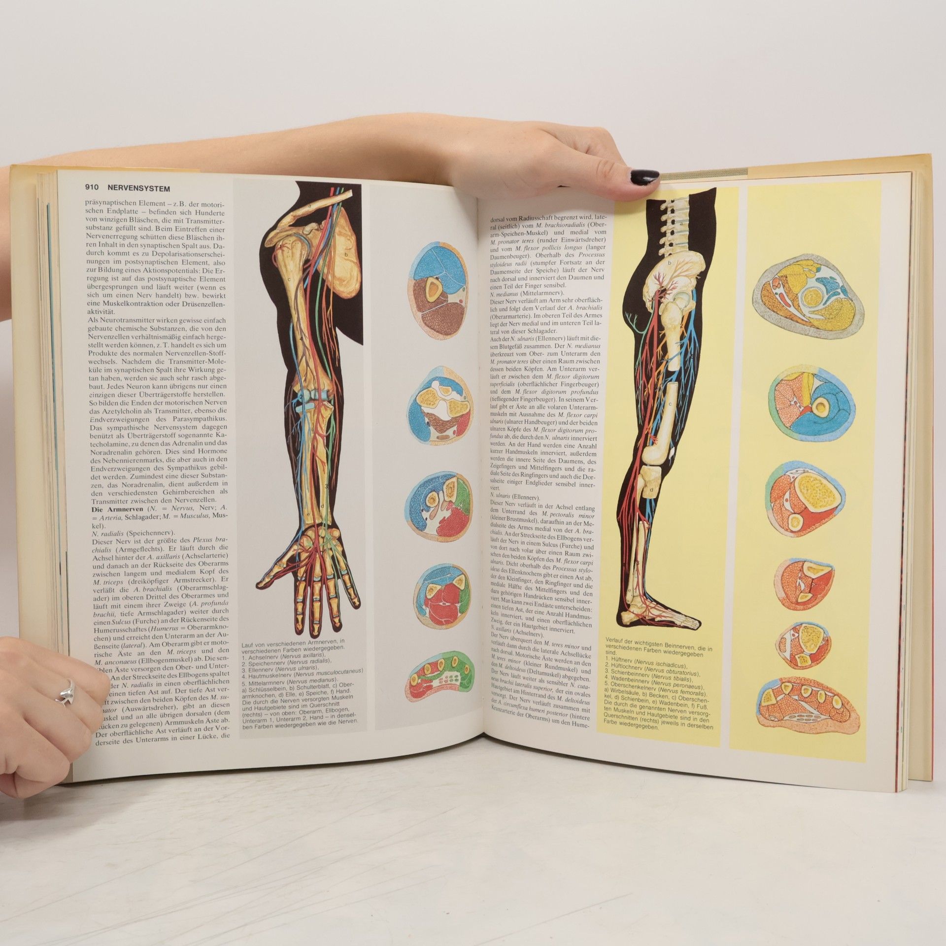 Autorenkollektiv Das grosse Lexikon der Medizin 5