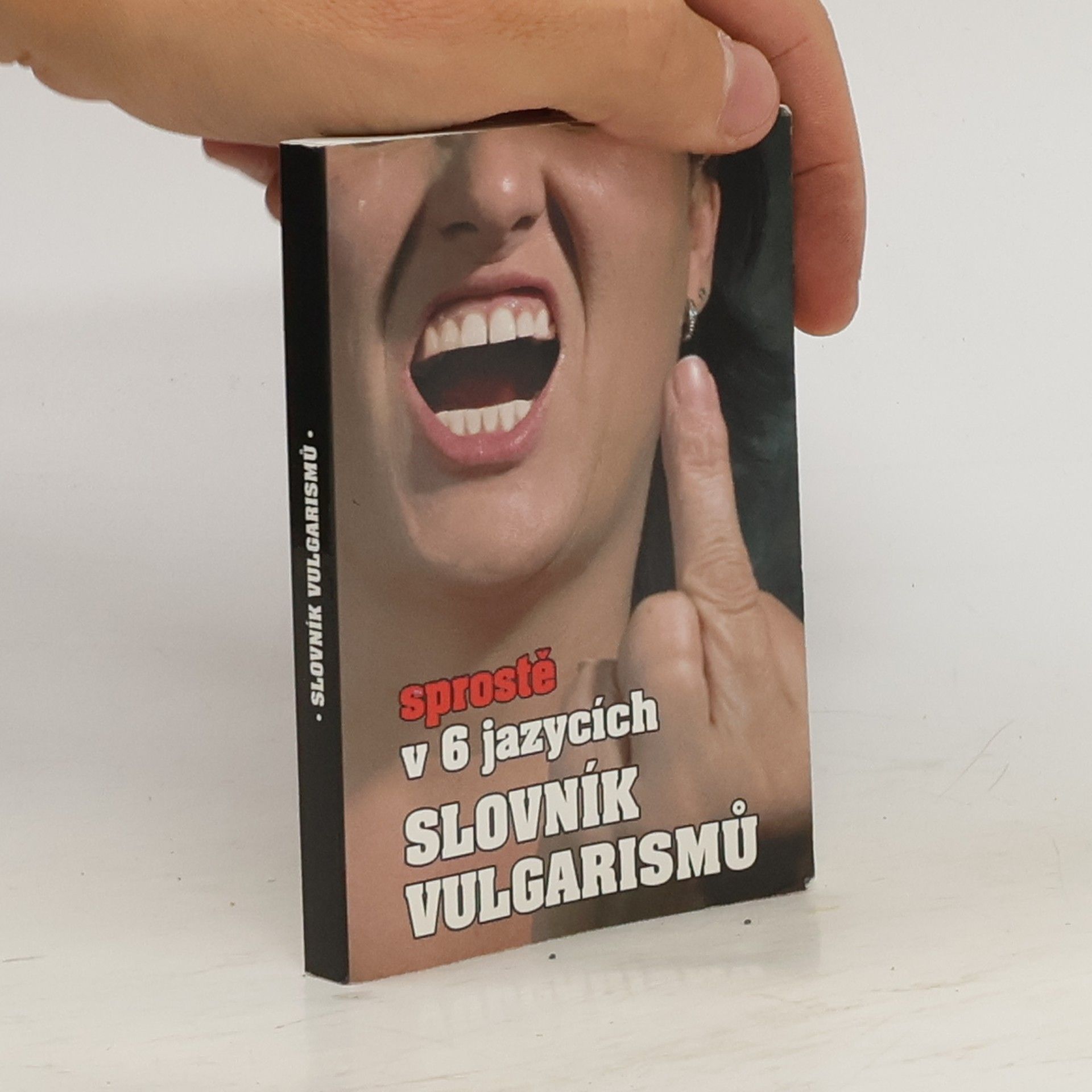 Kryštof Bajger Slovník vulgarismů : sprostě v 6 jazycích