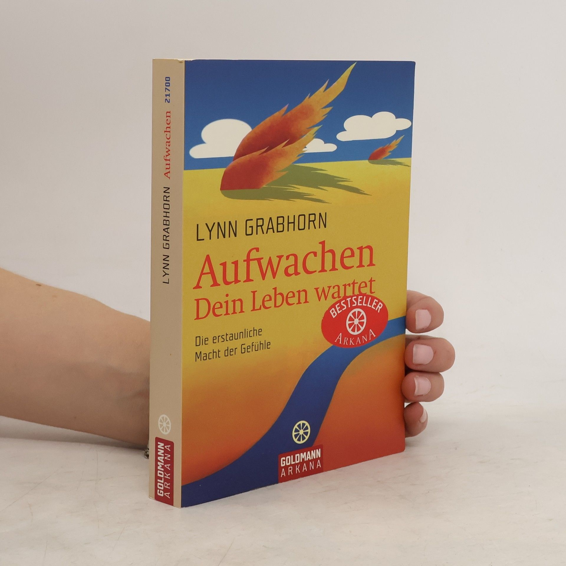 Lynn Grabhorn Aufwachen. Dein Leben wartet