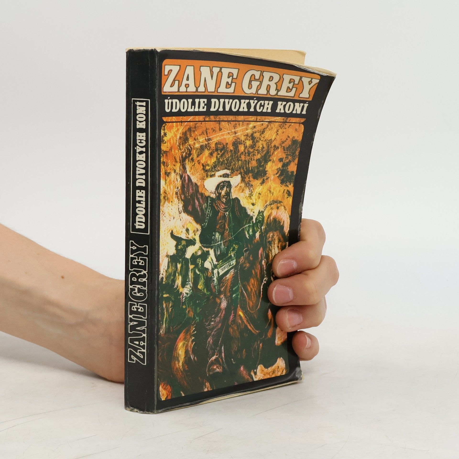Zane Grey Údolie divokých koní