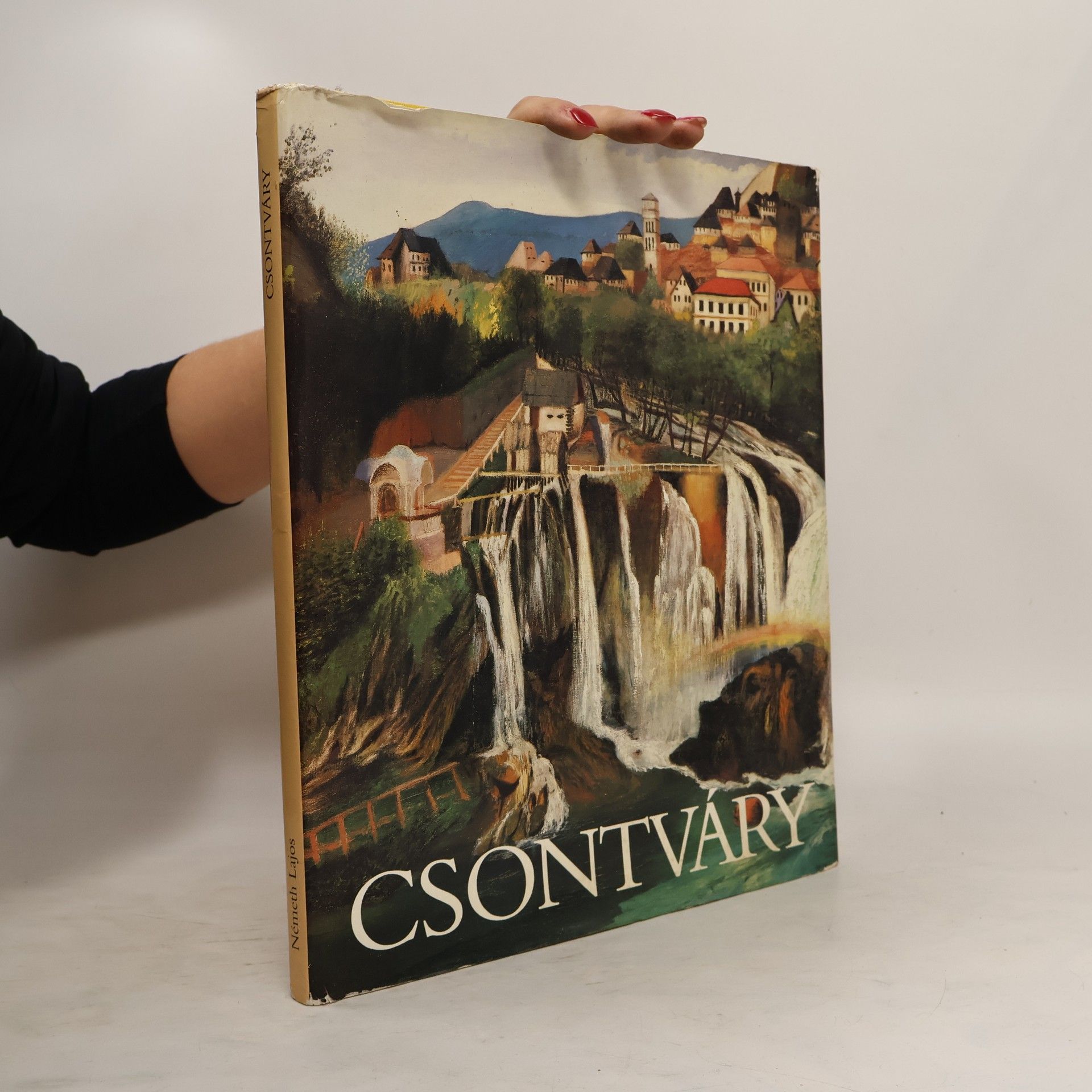 Collectif d'auteurs Csontváry