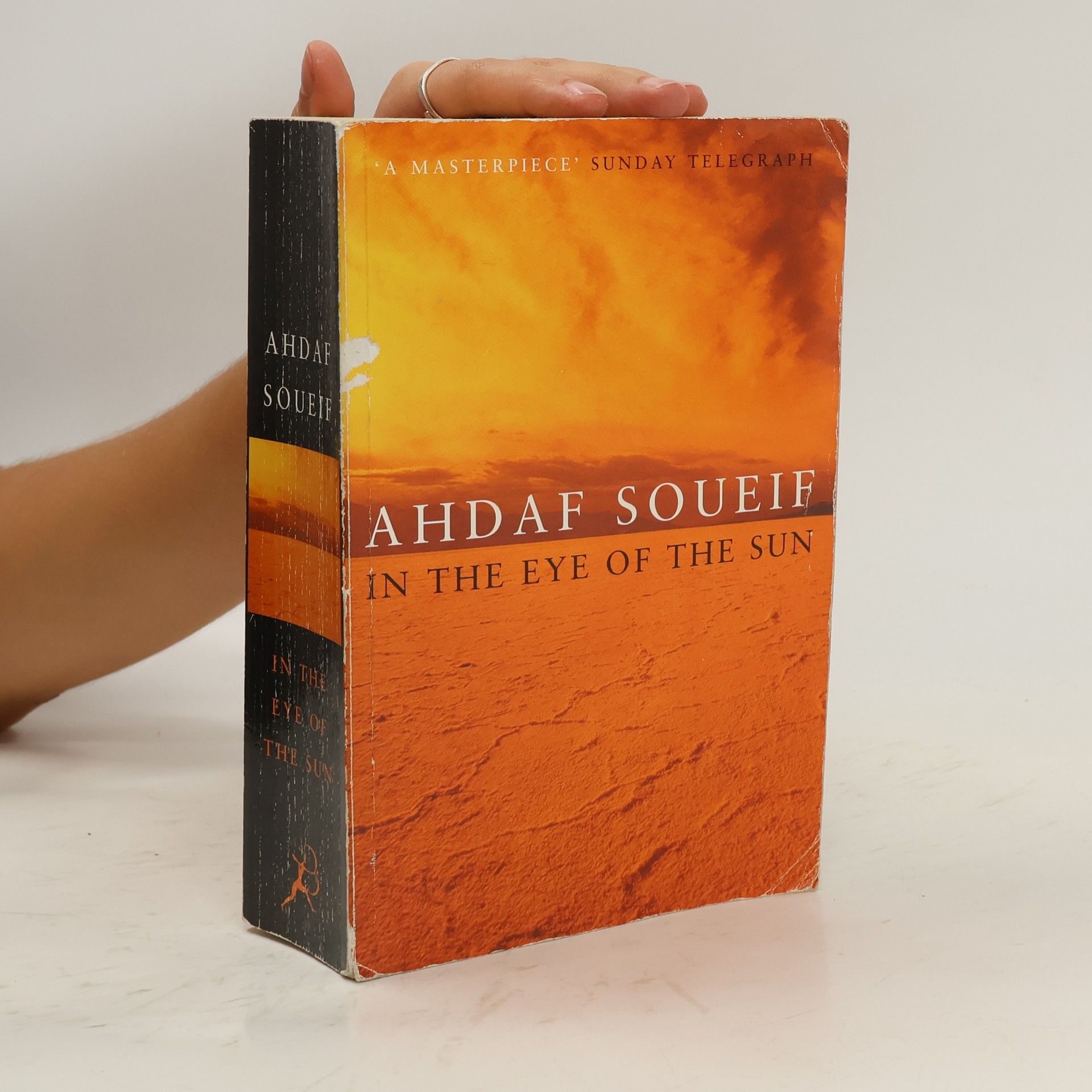 Ahdaf Soueif In the Eye of the Sun