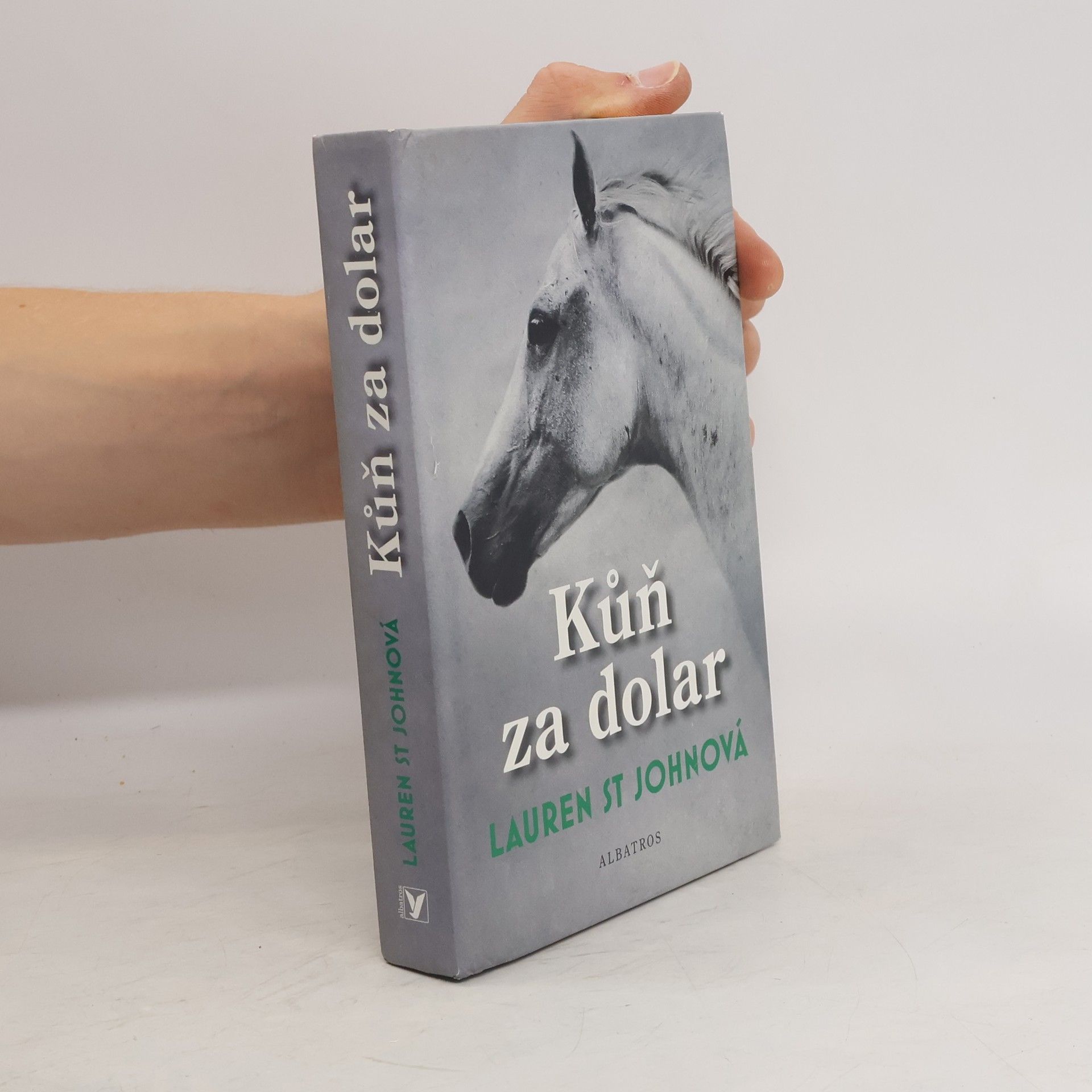 Lauren St. John Kůň za dolar