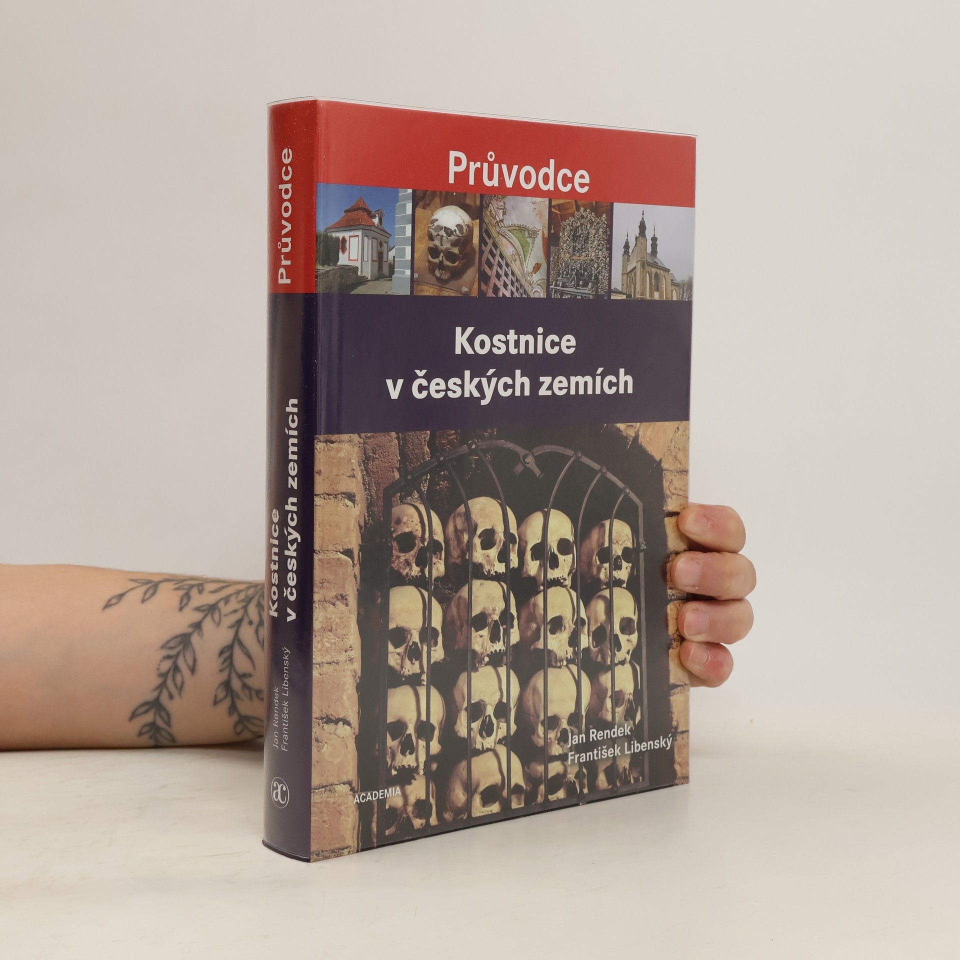 Kostnice v českých zemích