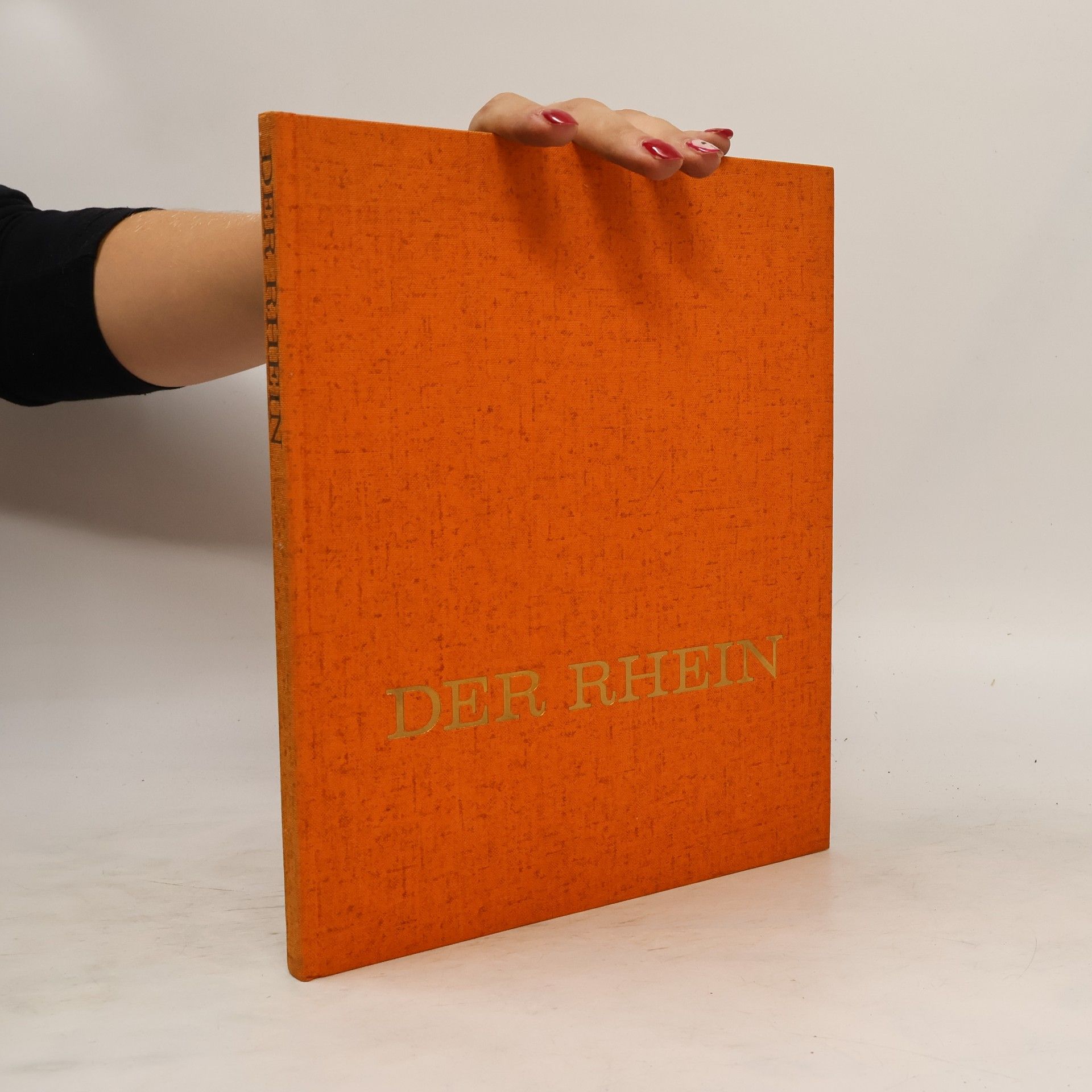 Autorenkollektiv Der Rhein