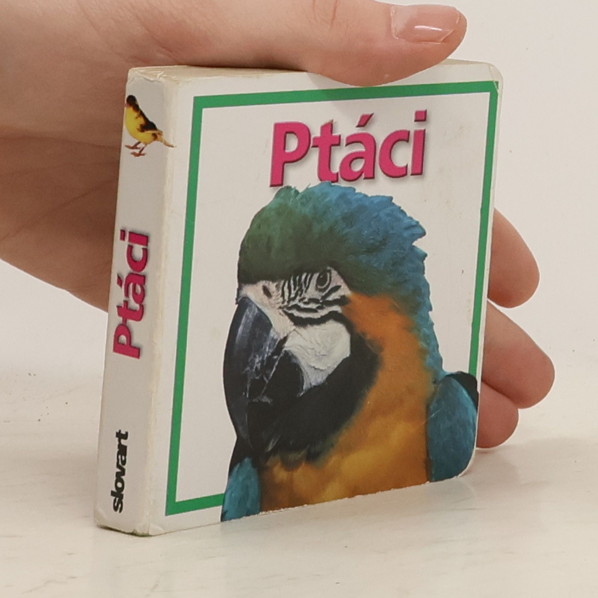 Kateřina Hladká Ptáci