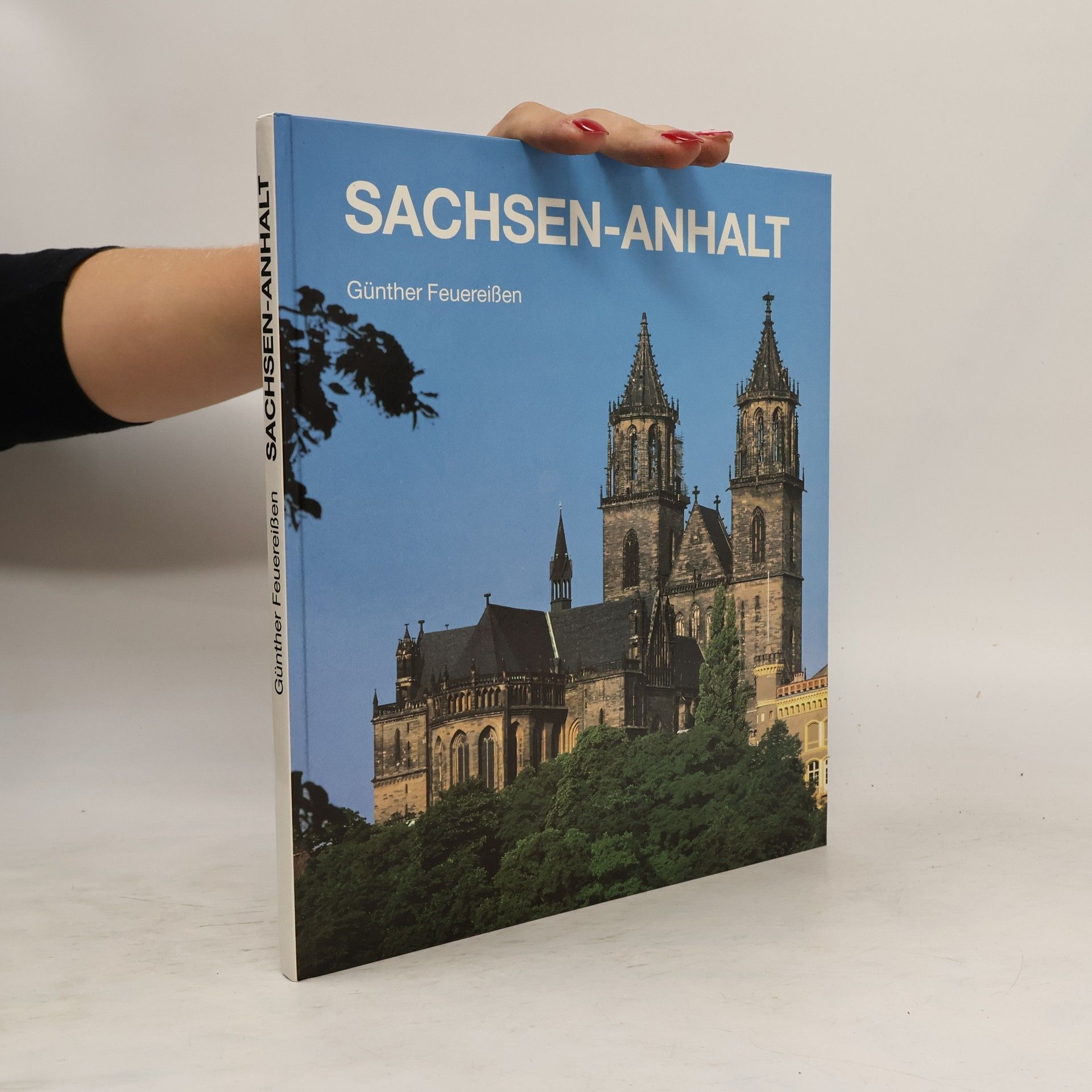 Günther Feuereißen Sachsen-Anhalt