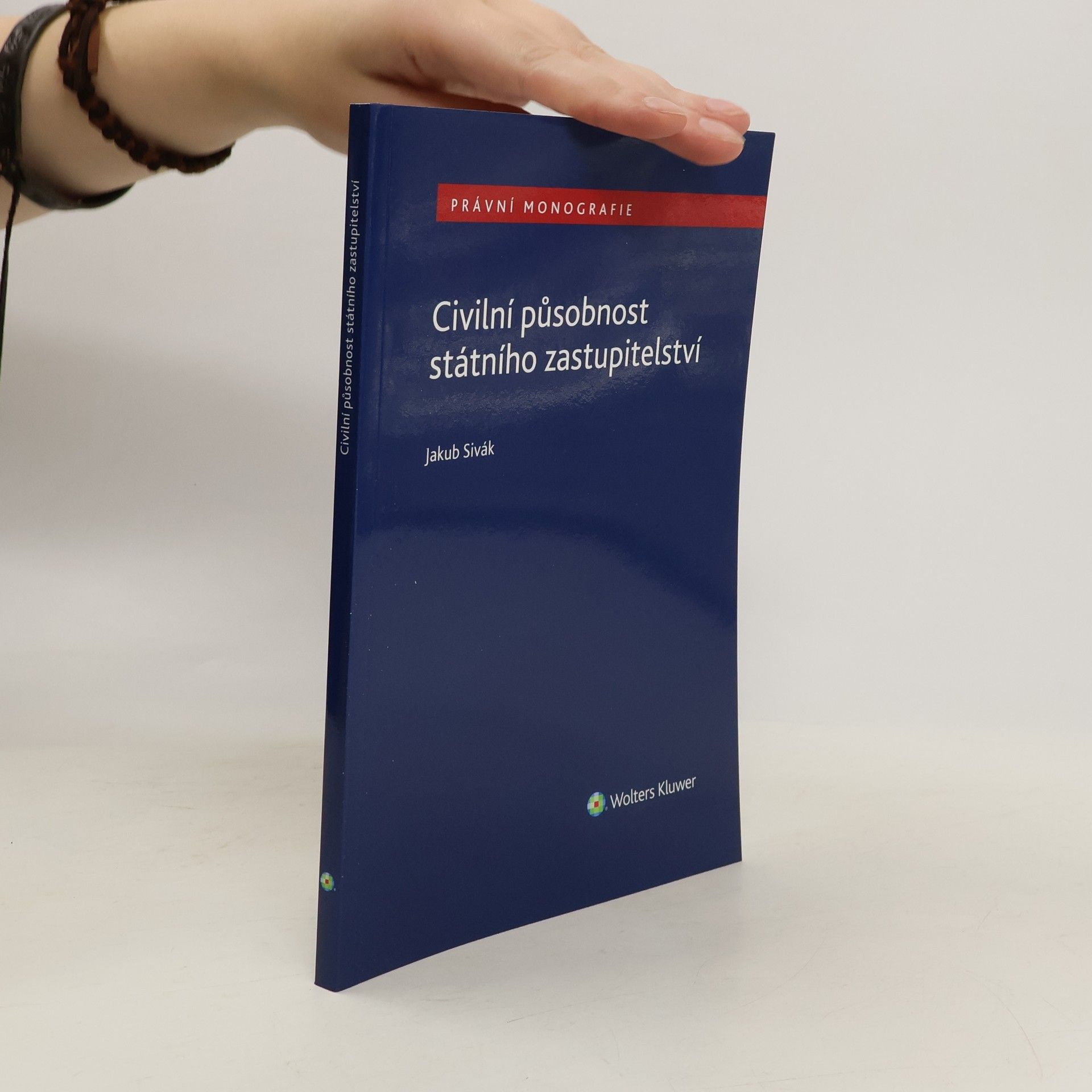 Civilní působnost státního zastupitelství