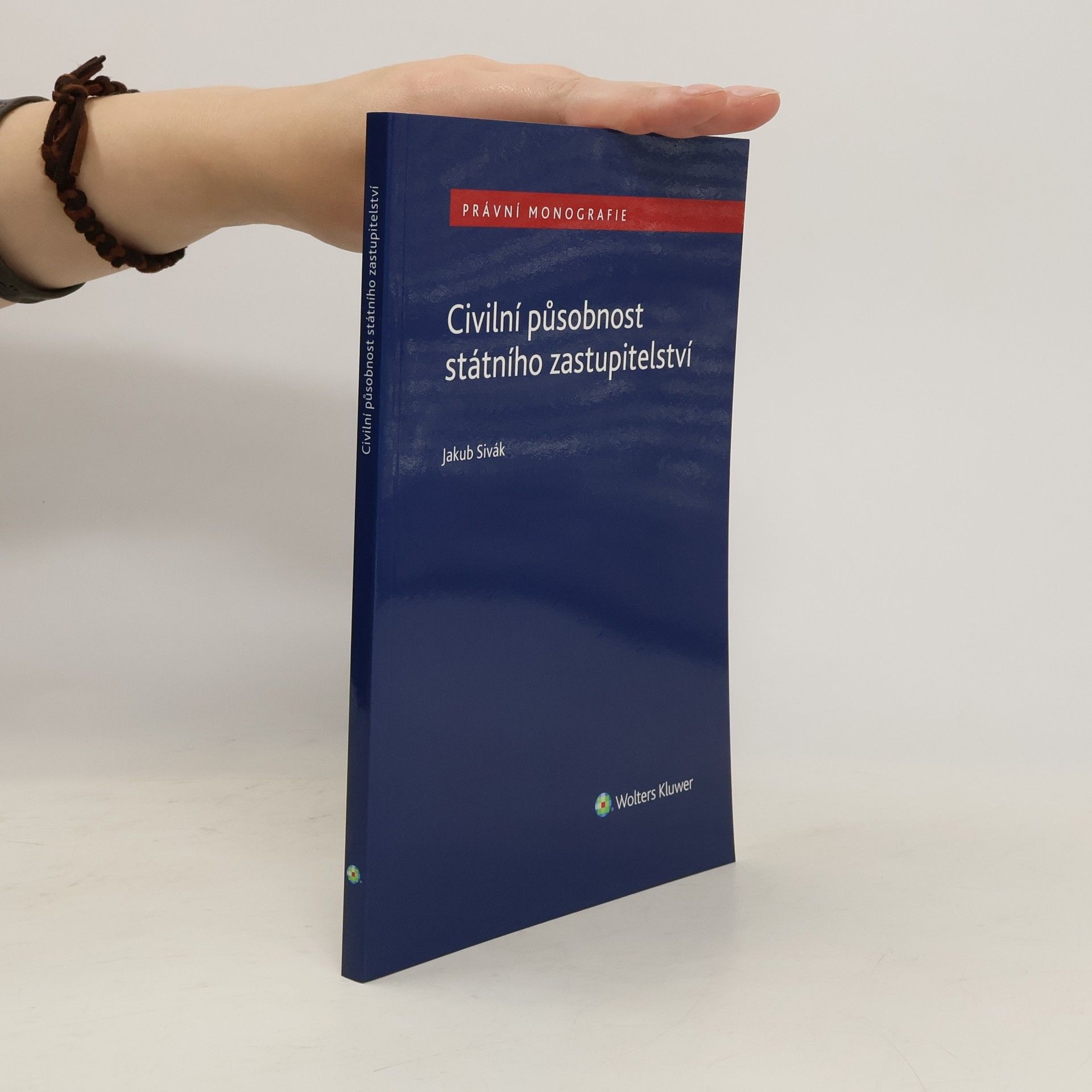 Civilní působnost státního zastupitelství