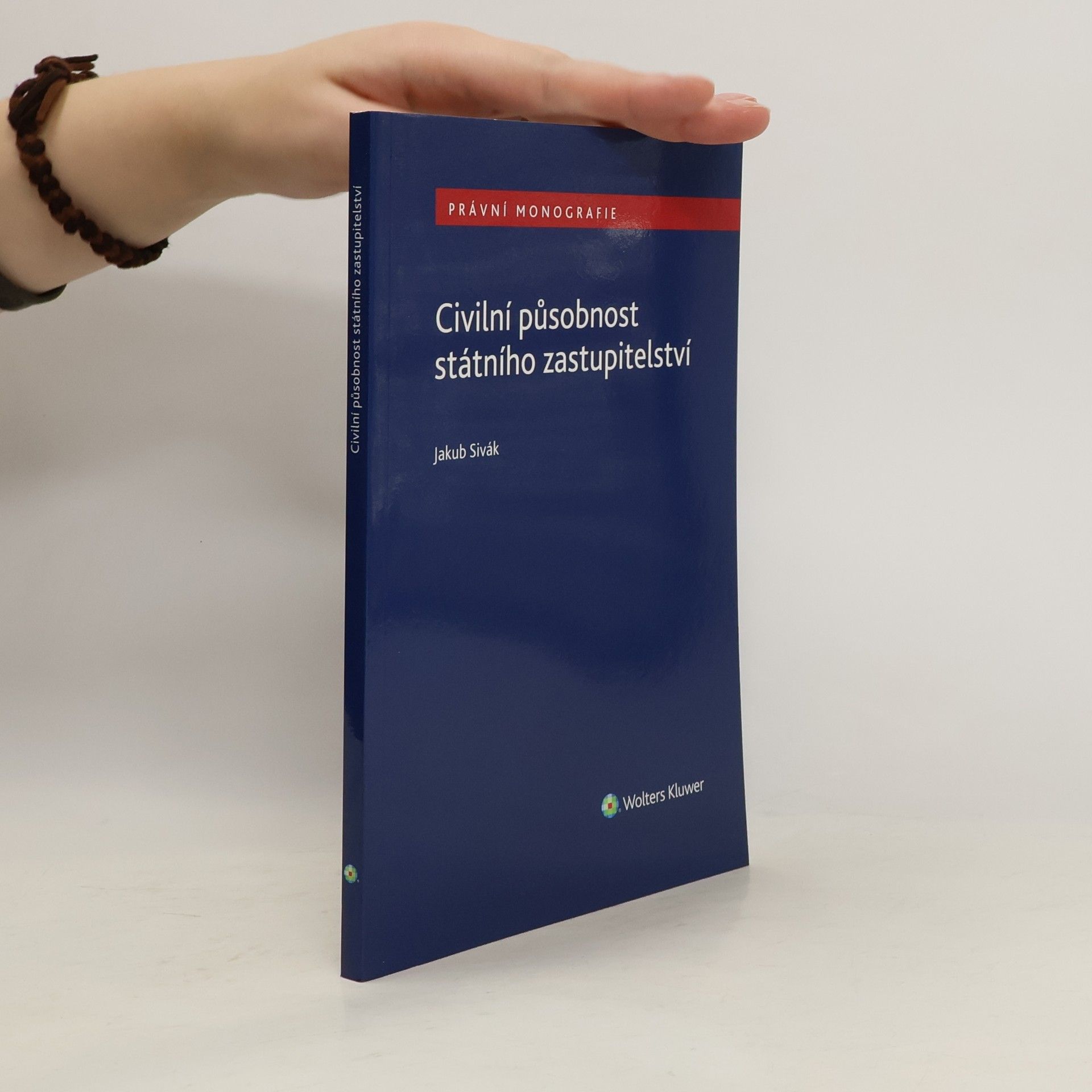 Civilní působnost státního zastupitelství