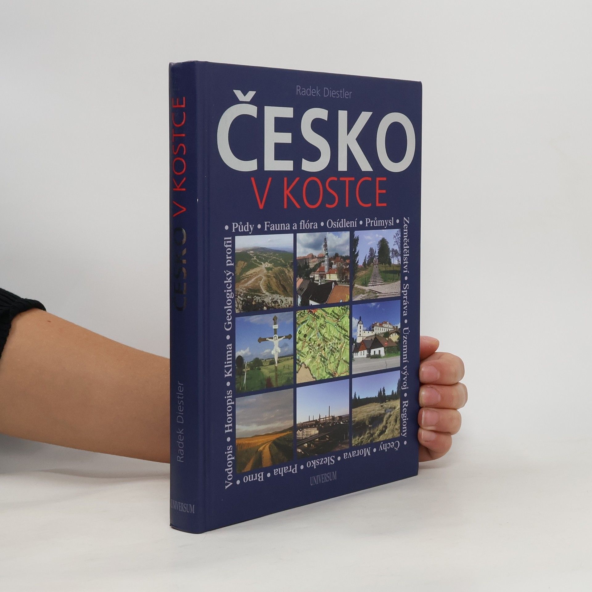 Radek Diestler Česko v kostce : netradiční vlastivěda pro každého