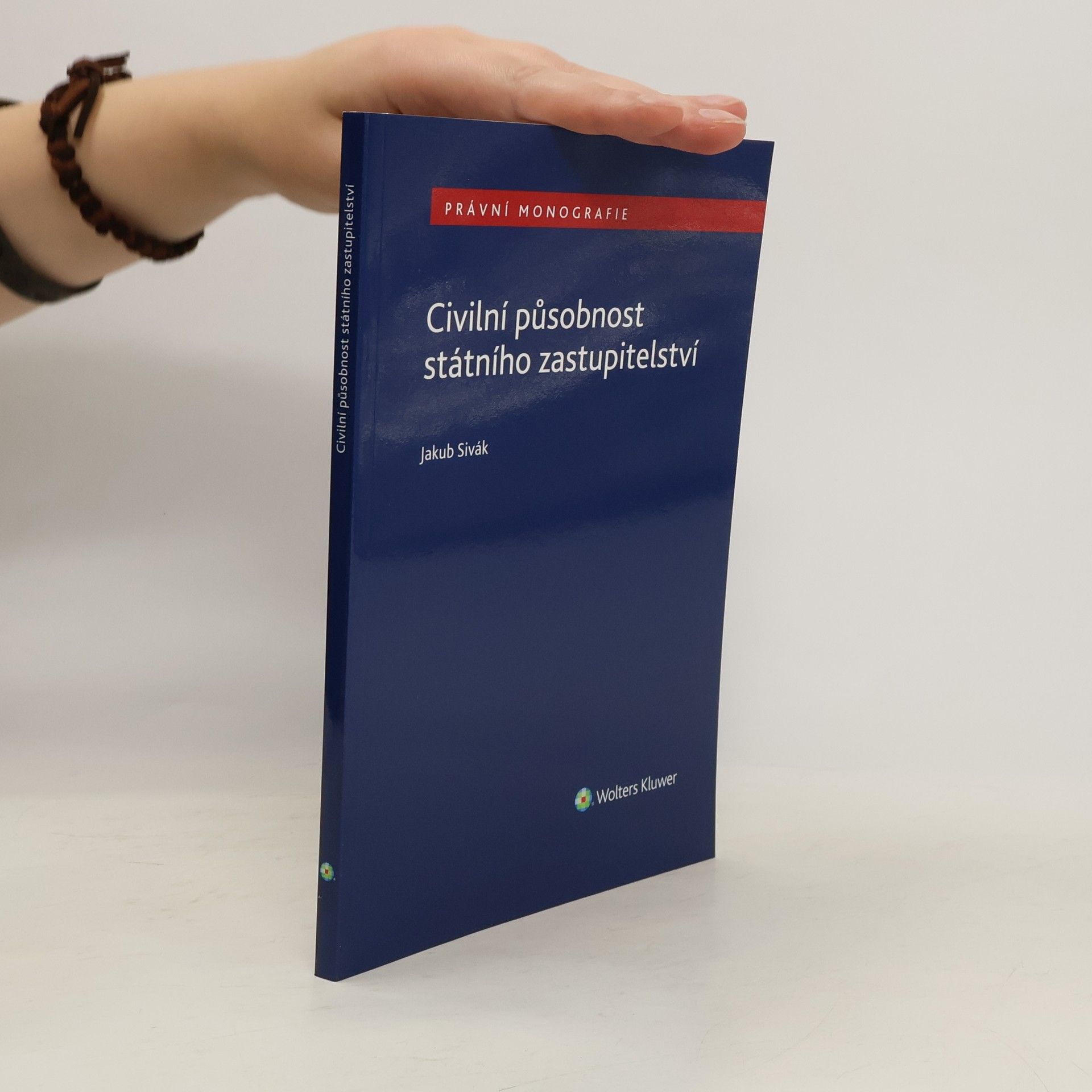 Civilní působnost státního zastupitelství