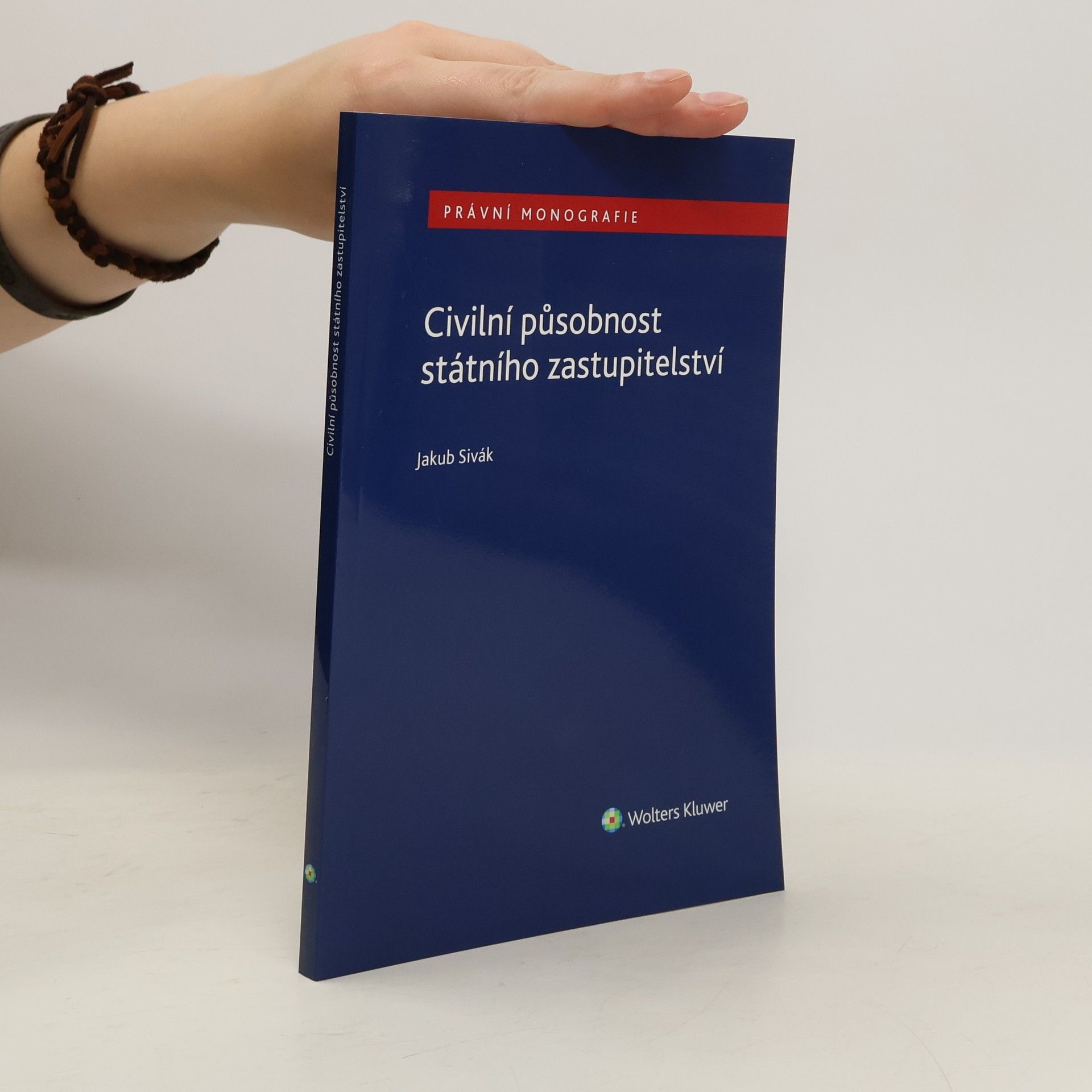 Civilní působnost státního zastupitelství