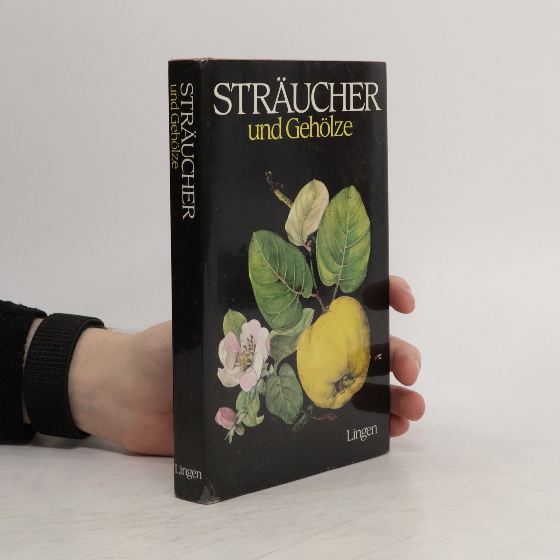 Autorenkollektiv Sträucher und Gehölze