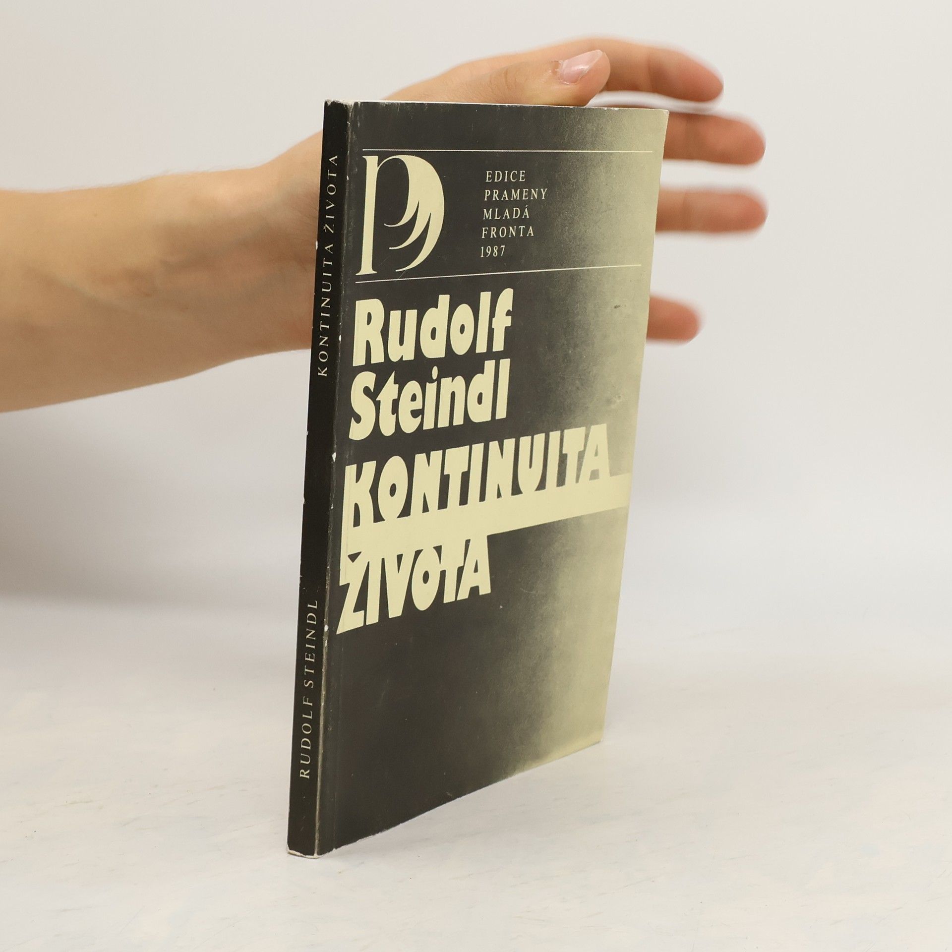 Rudolf Steindl Kontinuita života