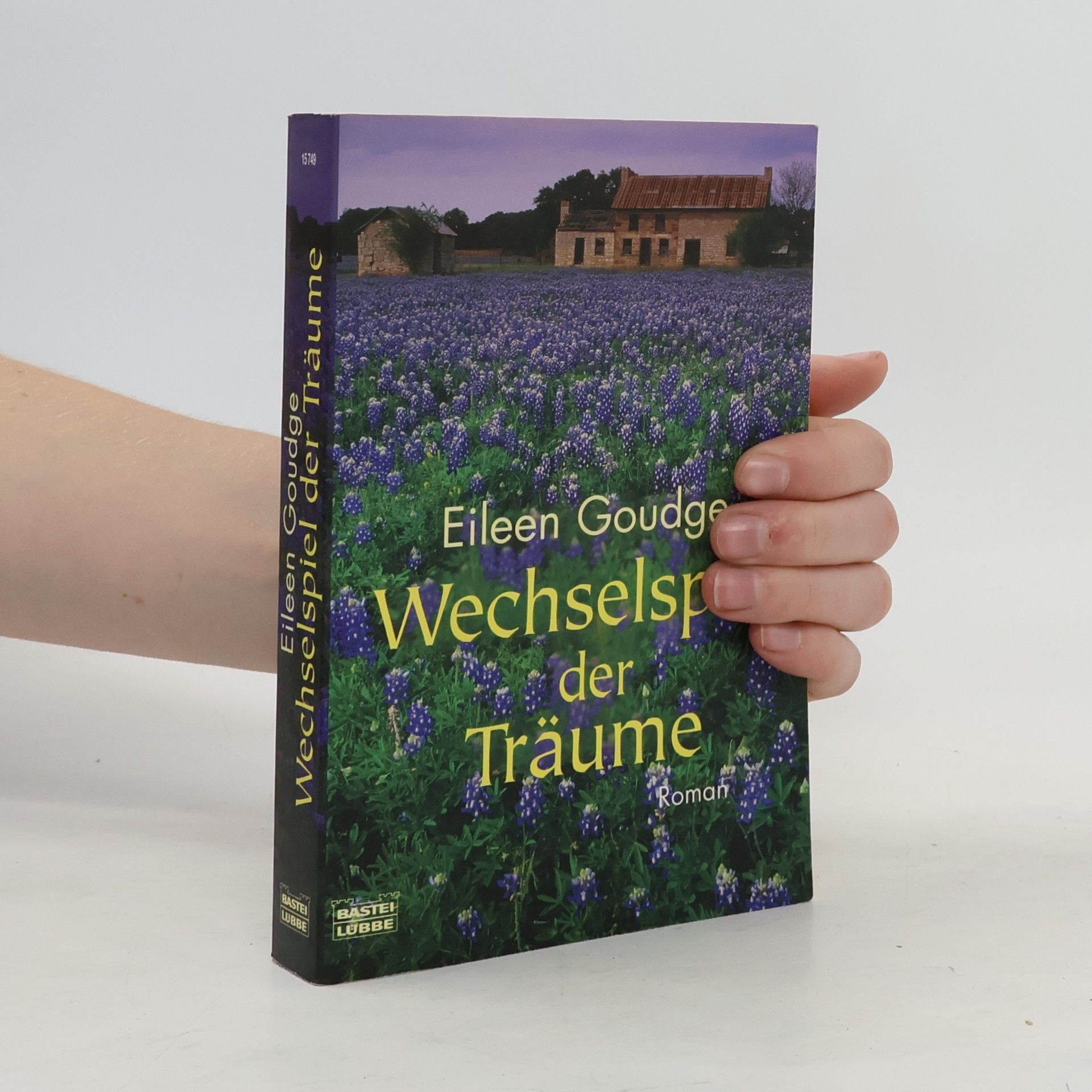 Eileen Goudge Wechselspiel der Träume