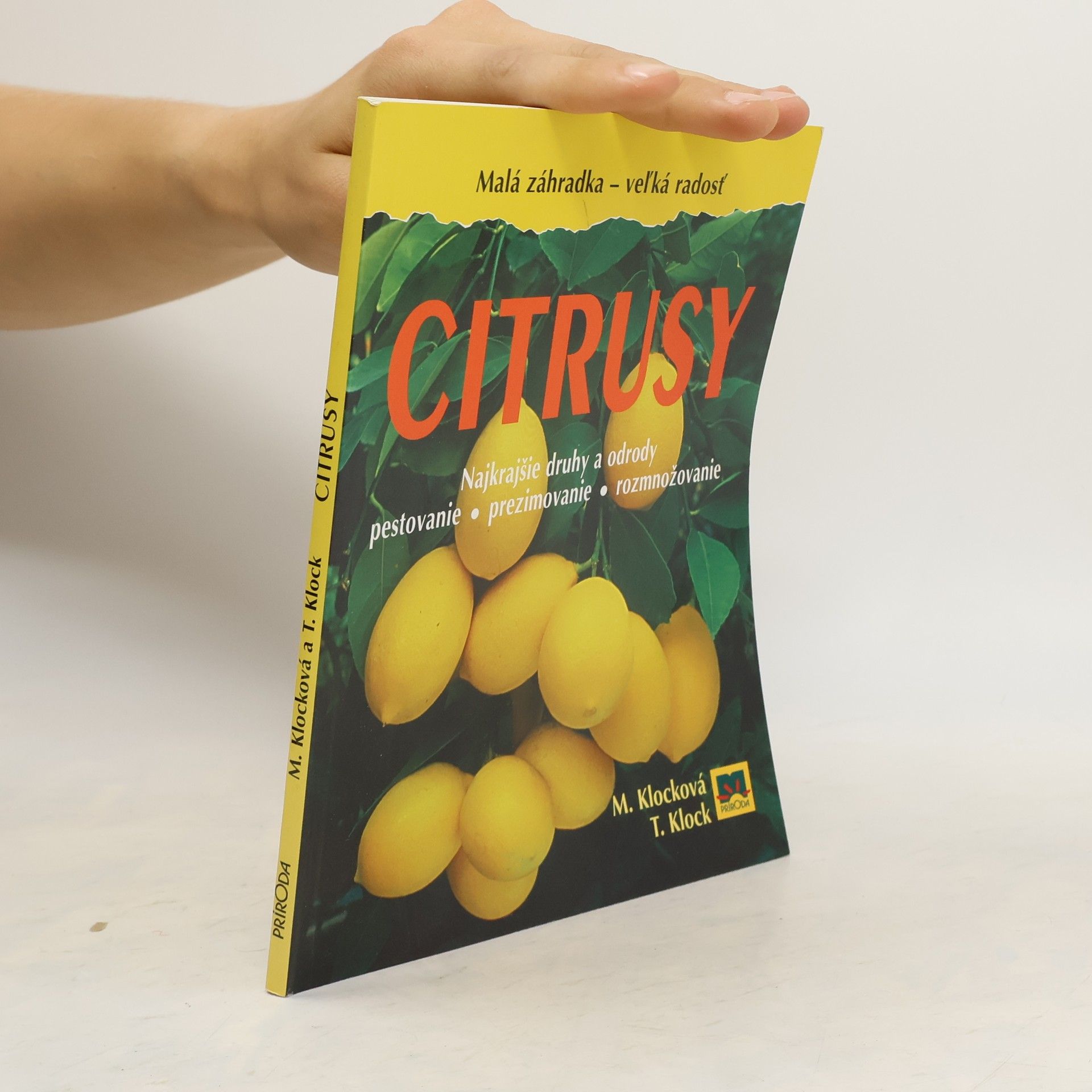 Monika Klock Citrusy
