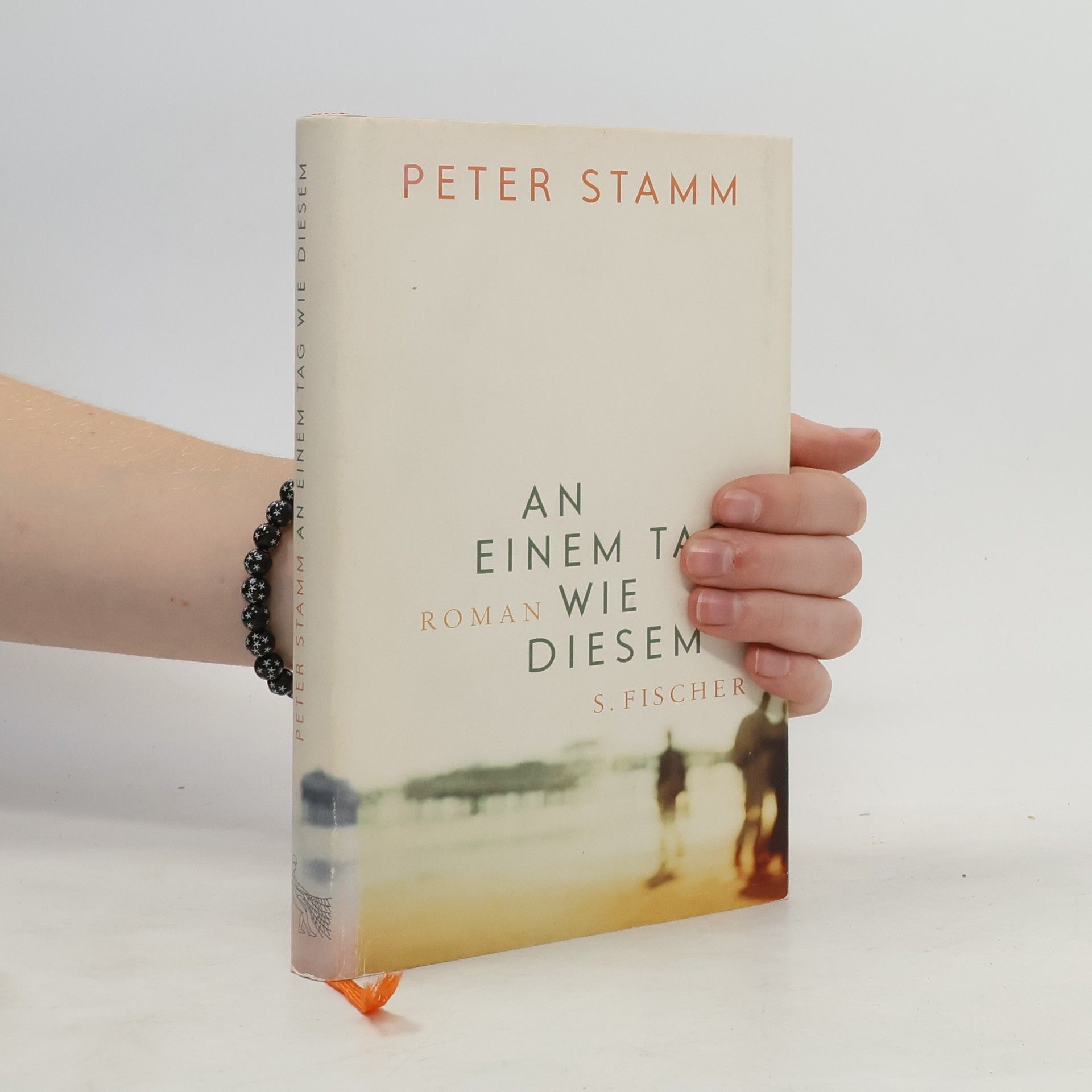 Peter Stamm An einem Tag wie diesem