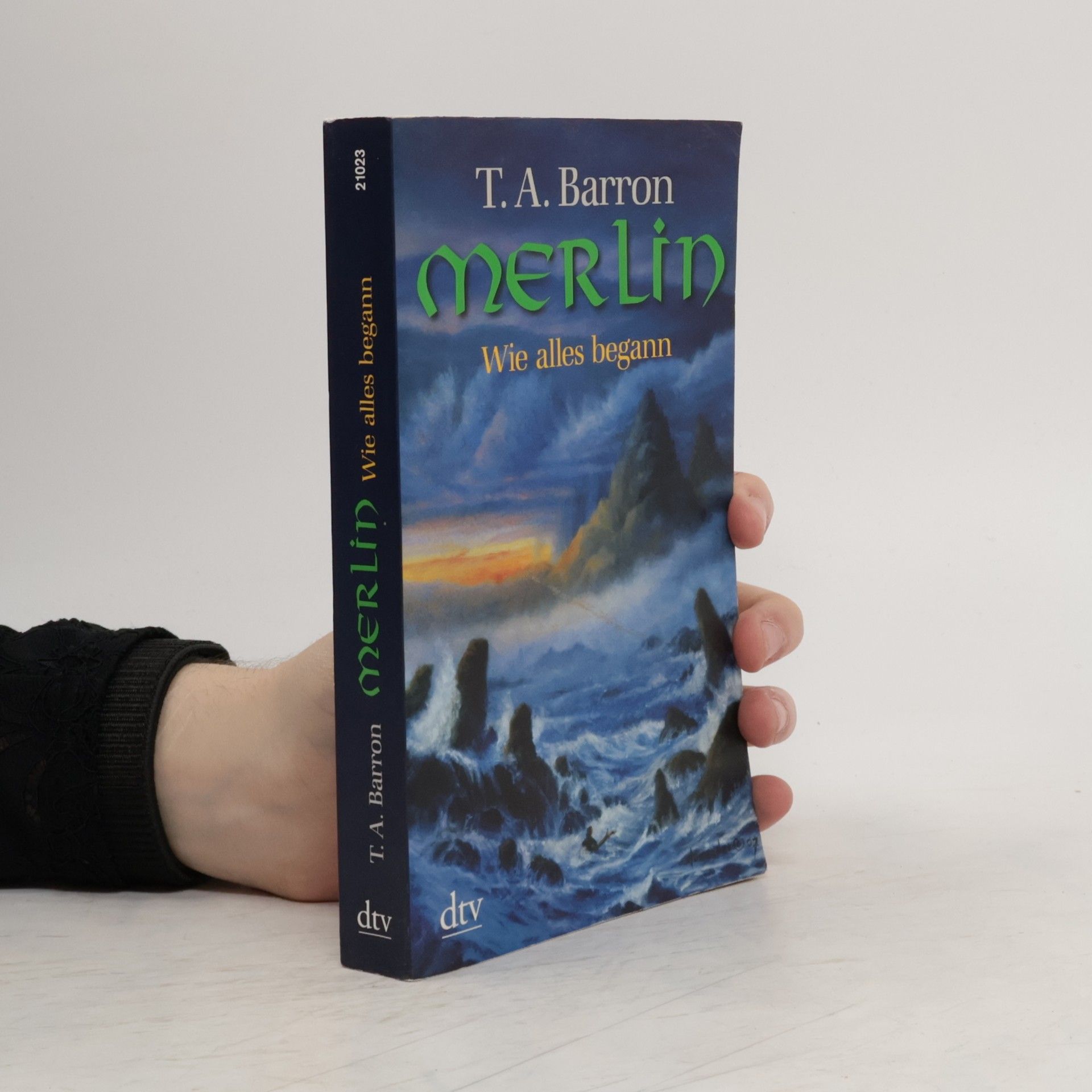Thomas A. Barron Merlin
