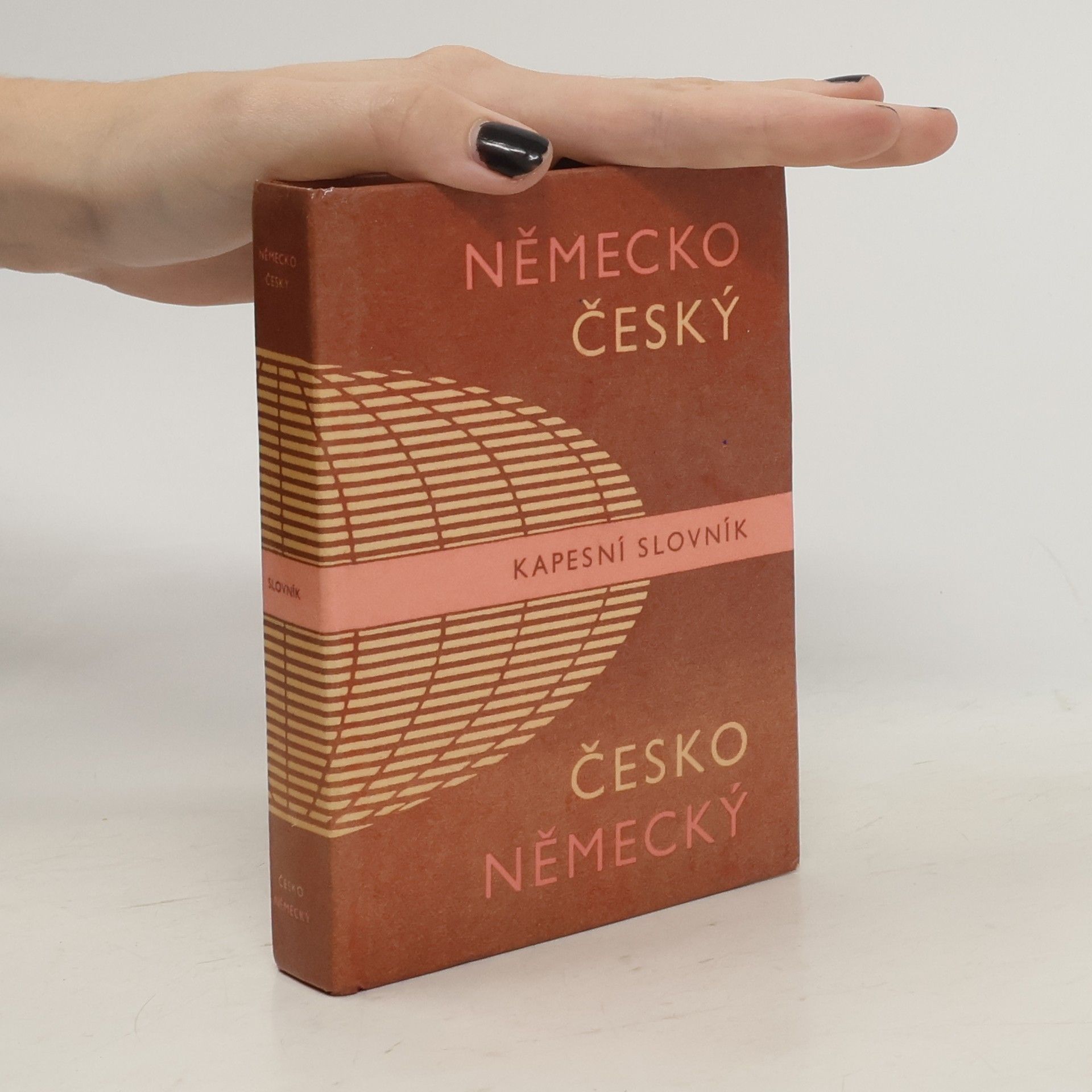 Autorenkollektiv Německo-český a česko-německý kapesní slovník